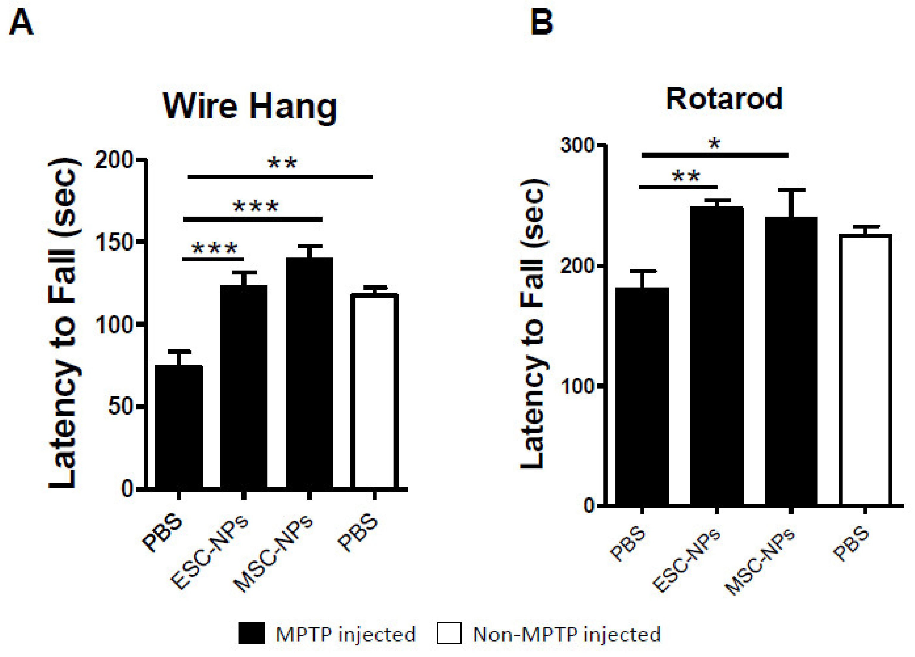 Cells 08 01359 g002 Cells 08 01359 g002