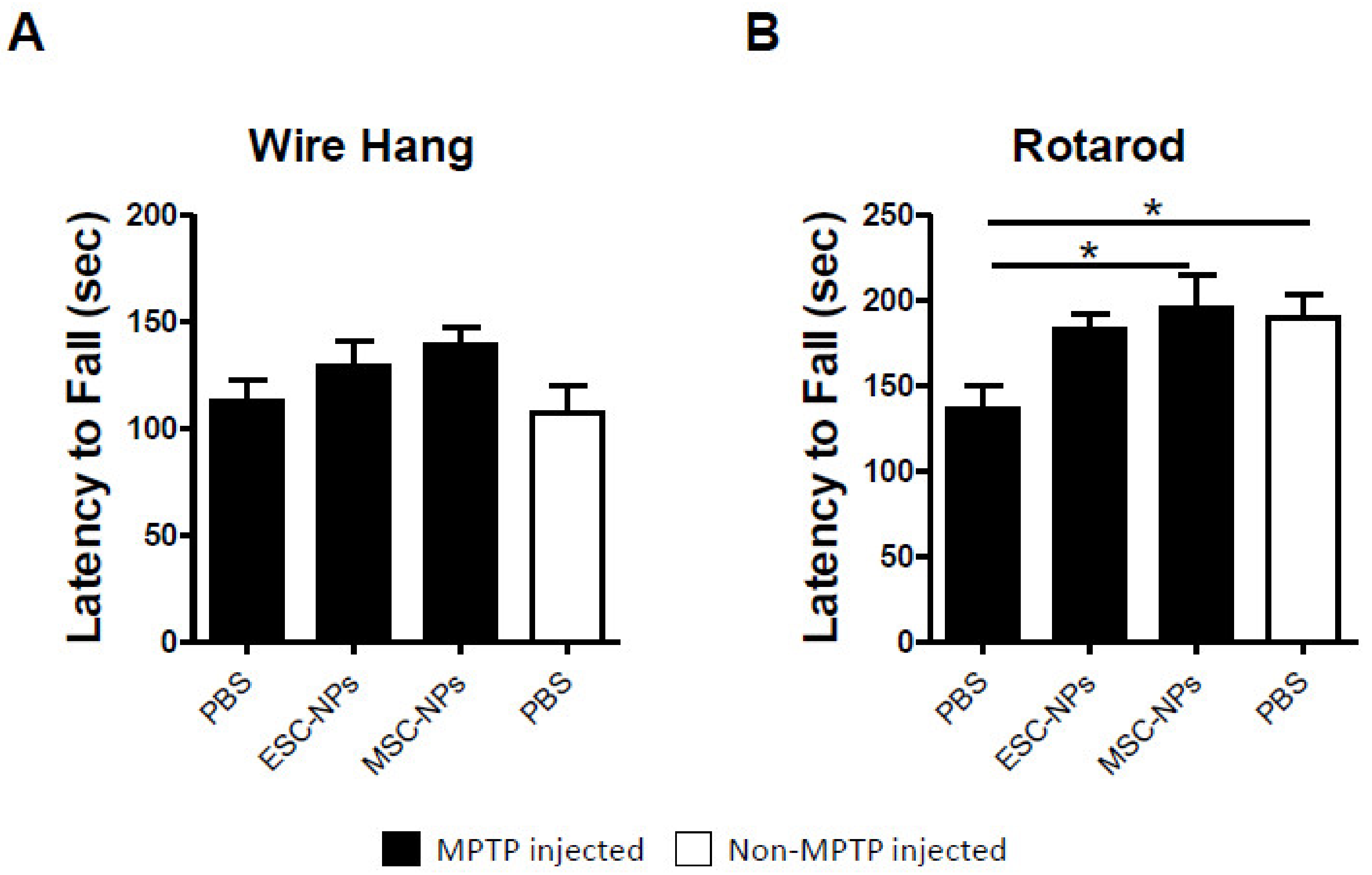 Cells 08 01359 g003 Cells 08 01359 g003