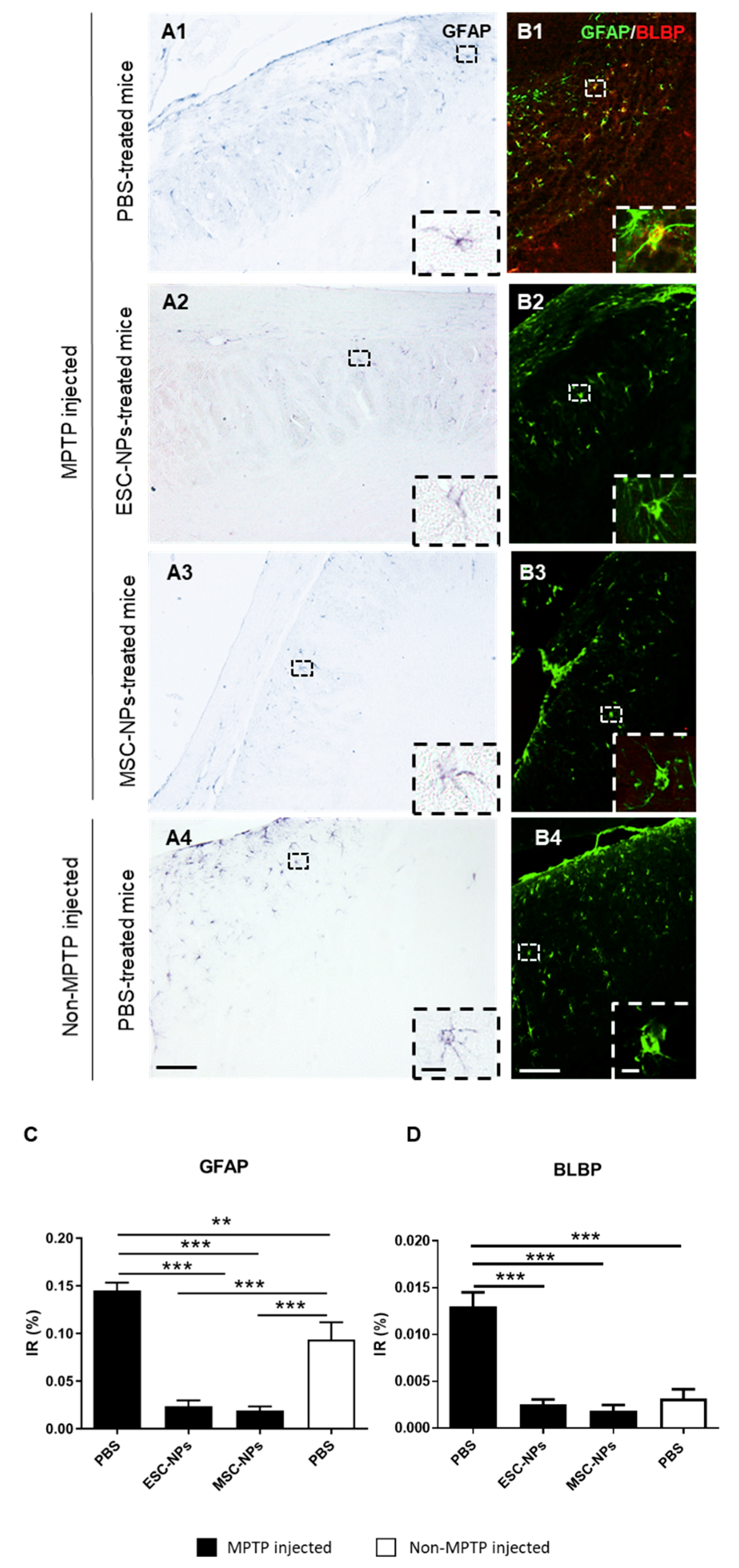 Cells 08 01359 g004 Cells 08 01359 g004