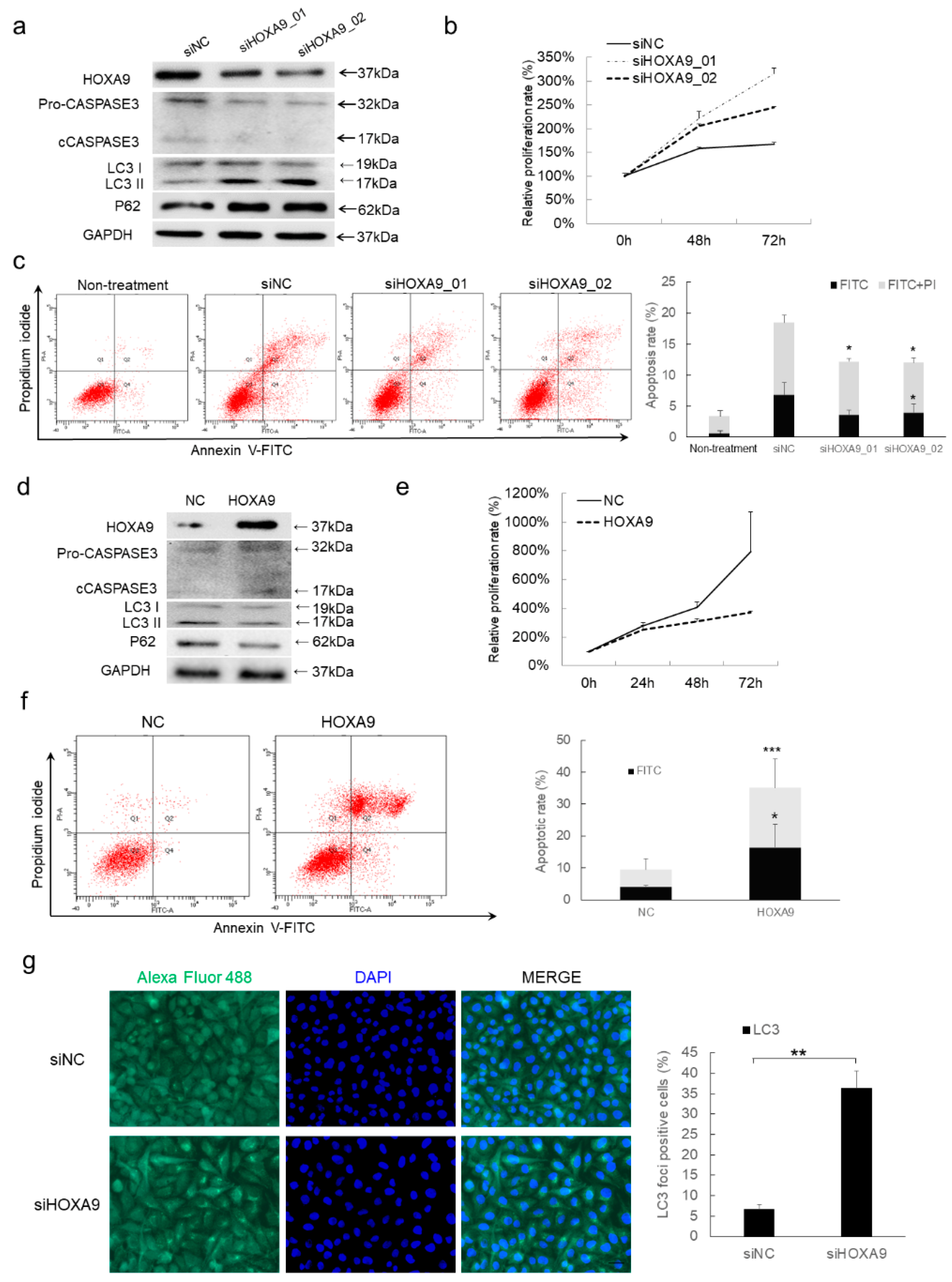Cells 08 01360 g001