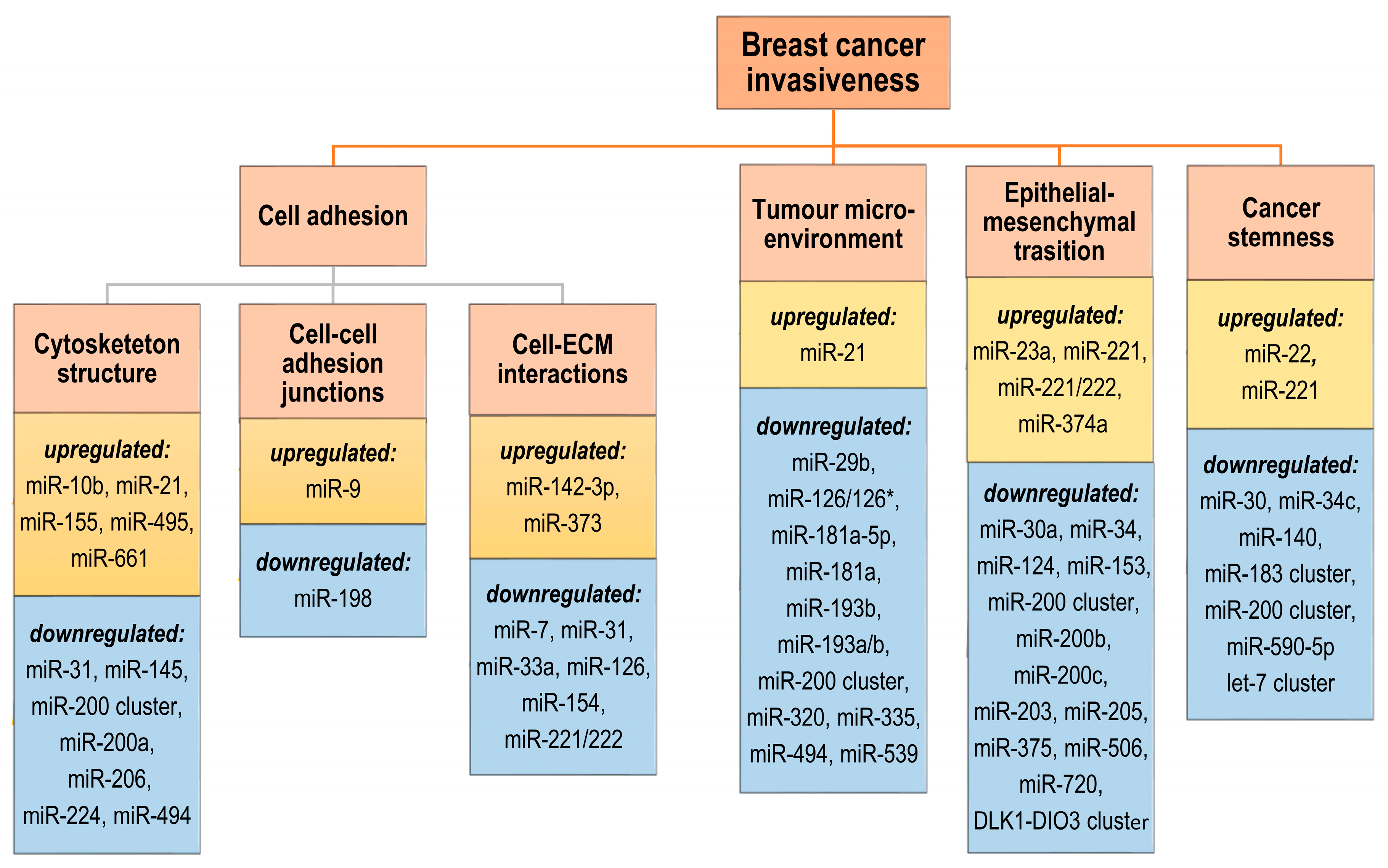 MicroRNAs Contribute to Breast Cancer Invasiveness
