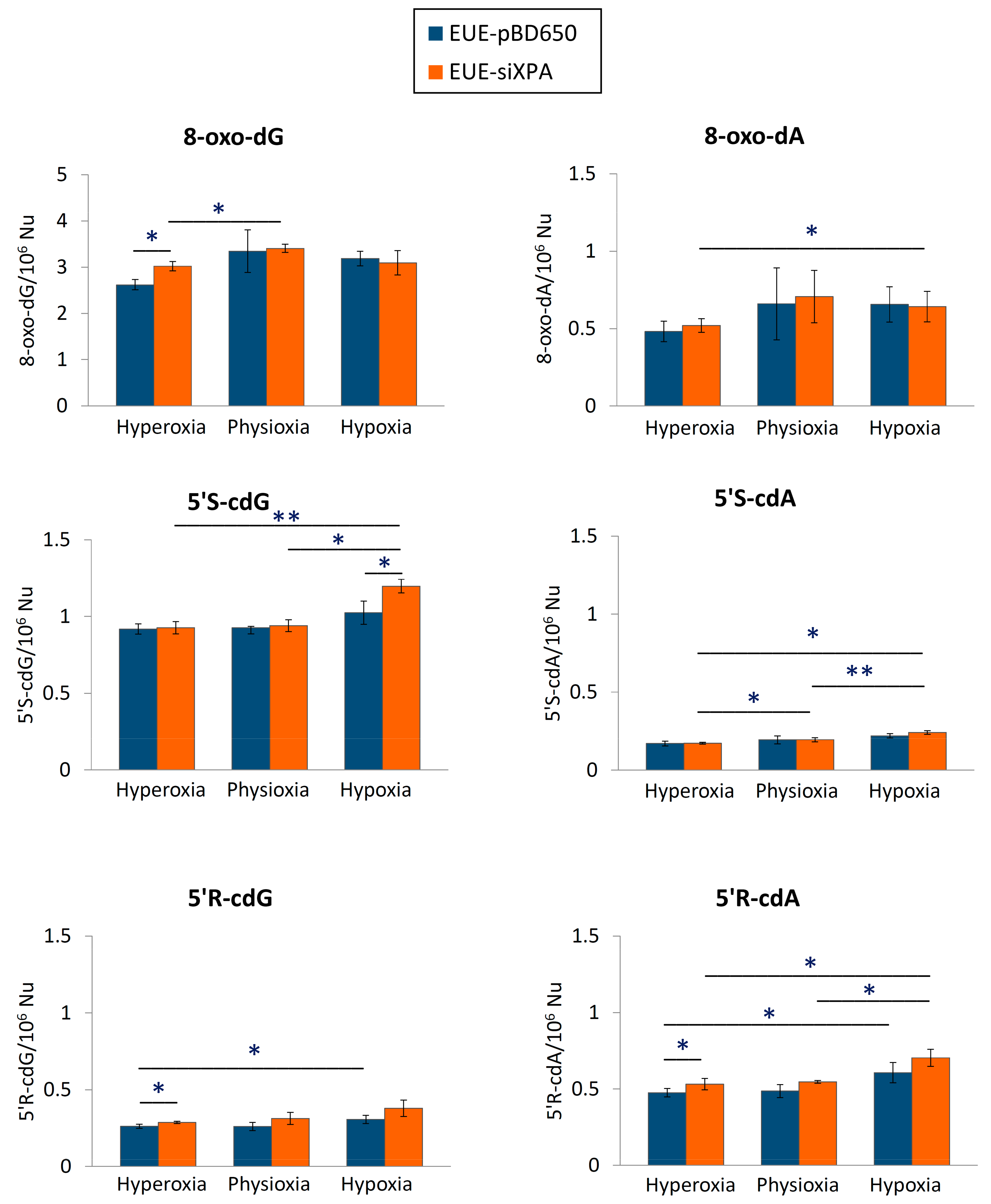 Cells 08 01377 g003 Cells 08 01377 g003