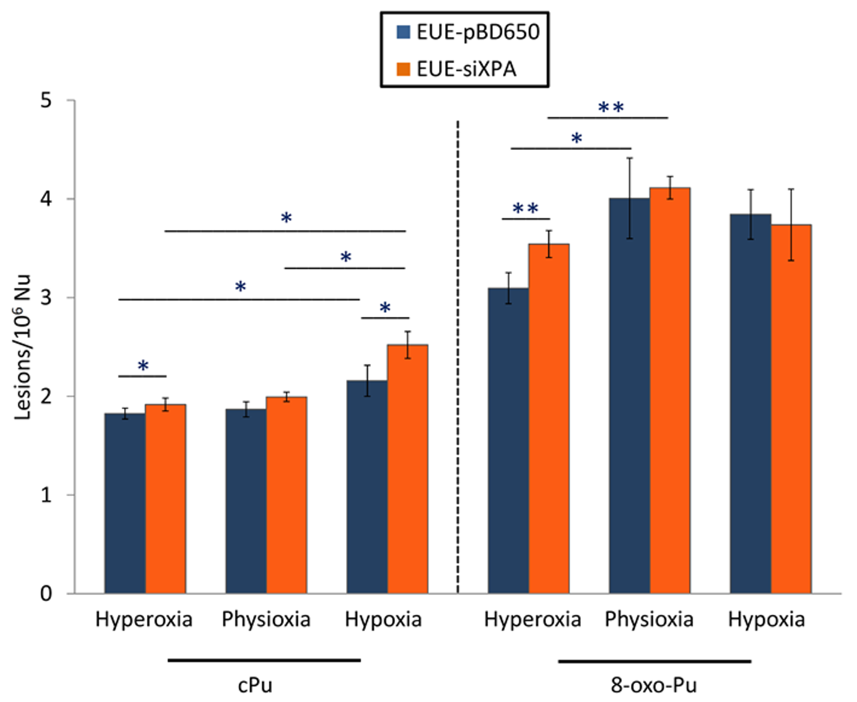 Cells 08 01377 g004 Cells 08 01377 g004