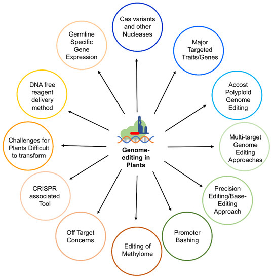 Plant Cell Uses For Growth And Activities : The Importance Of Plant Cells : Maybe you would like to learn more about one of these?
