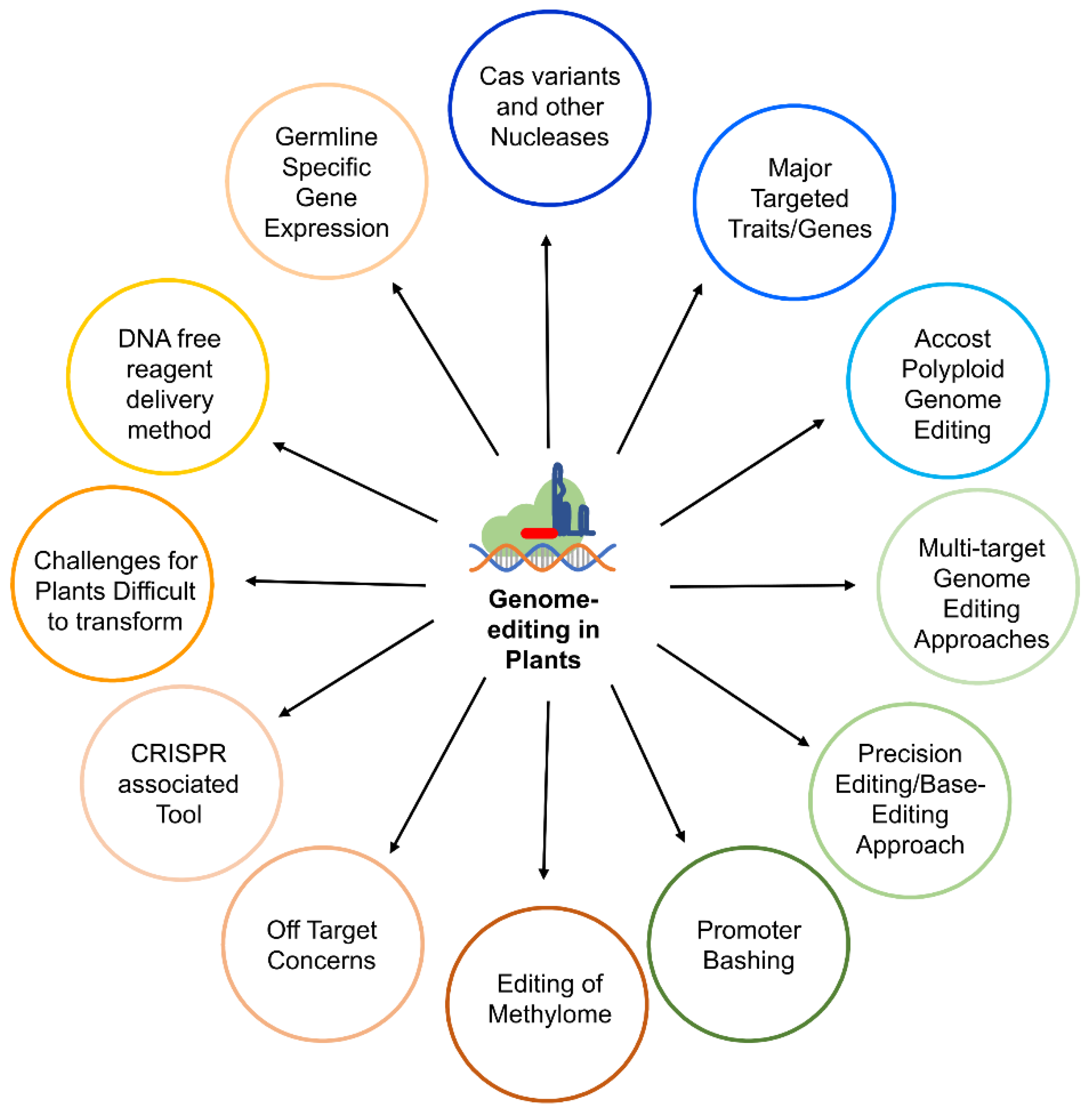 Modification genome Genome editing