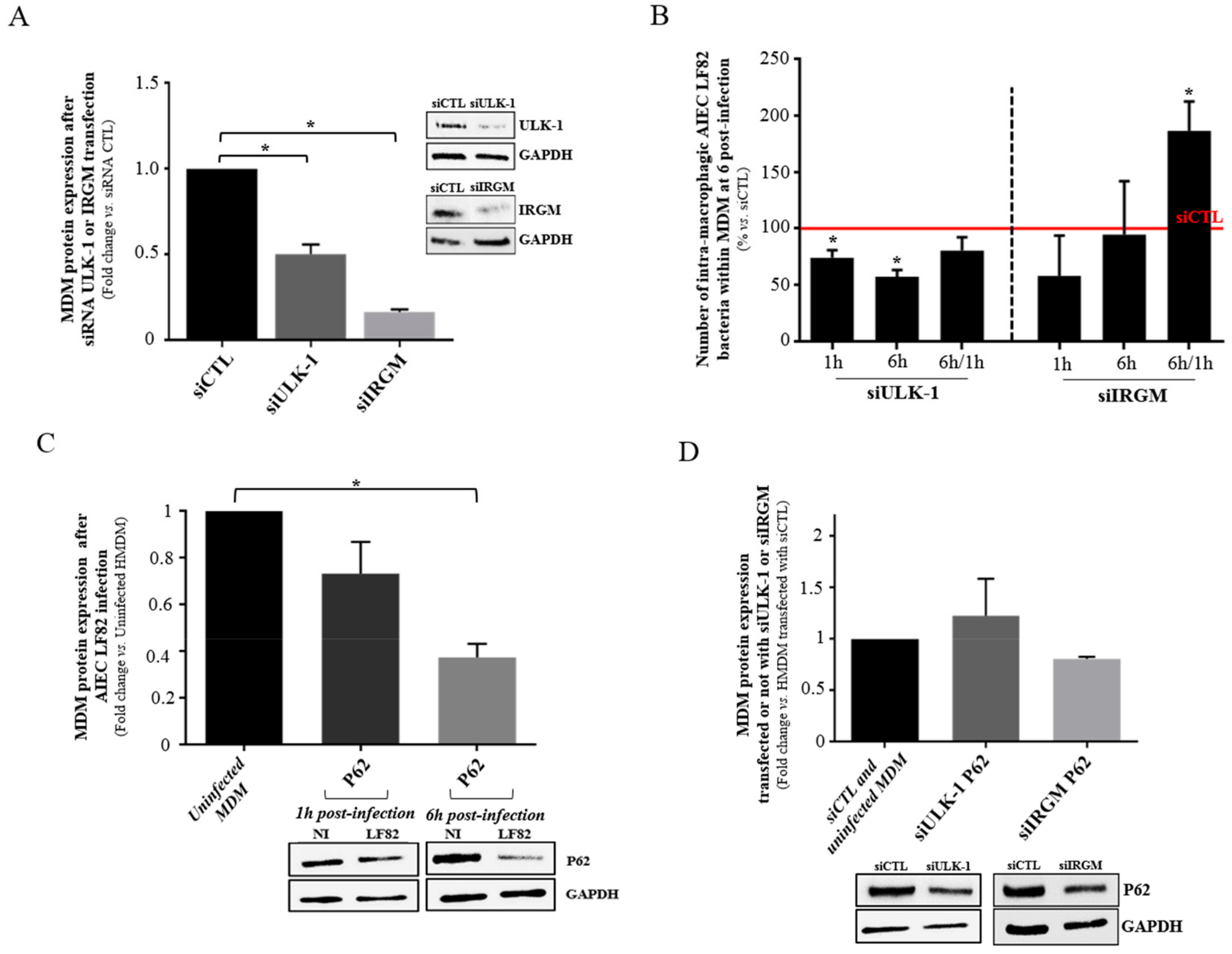 Cells 08 01394 g005 Cells 08 01394 g005