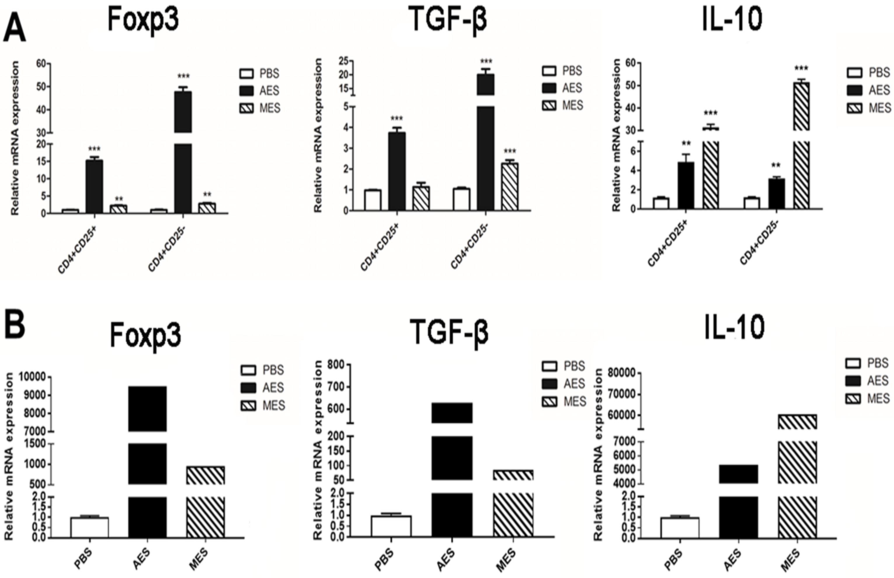 Cells 08 01404 g004