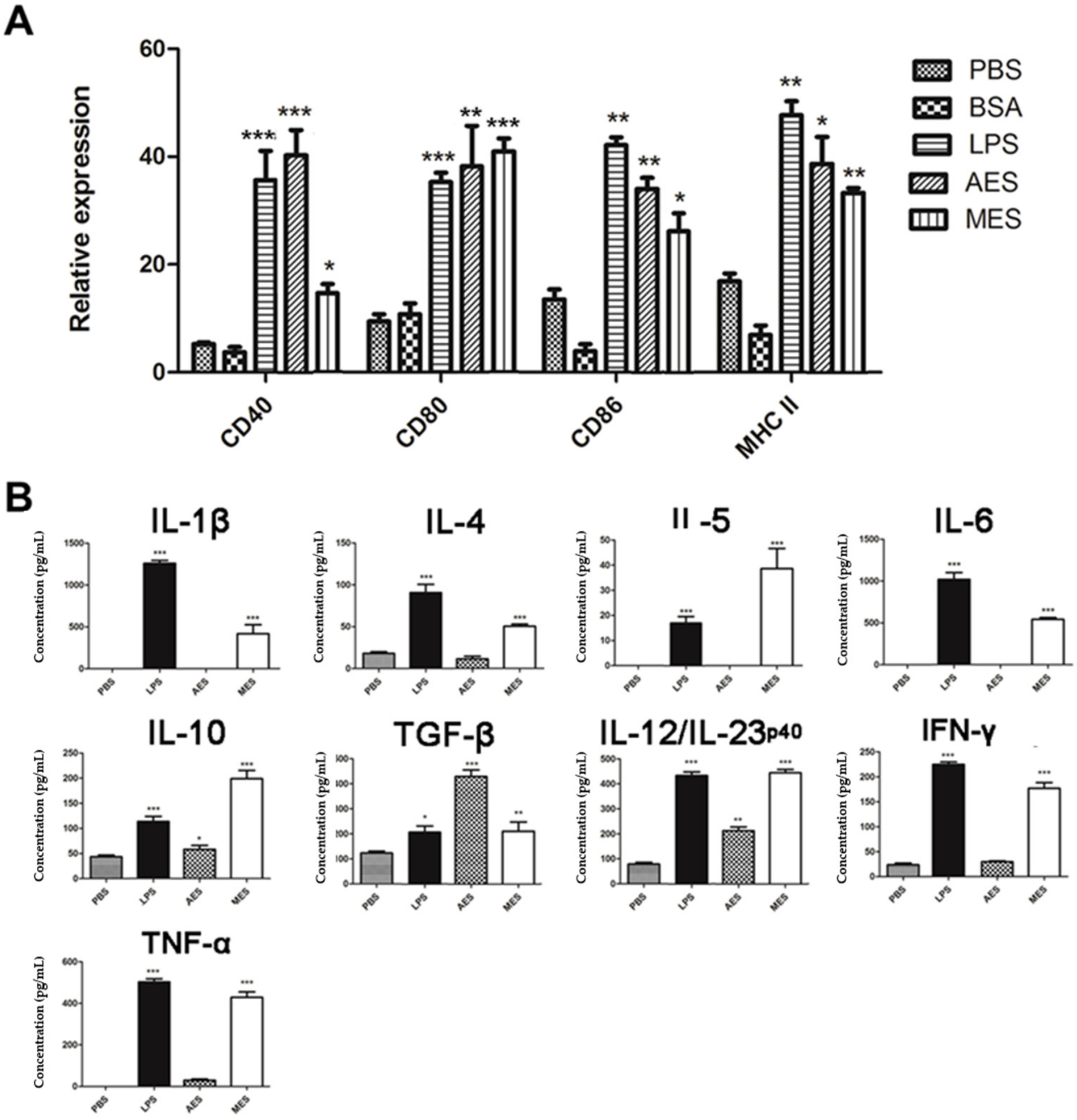 Cells 08 01404 g005