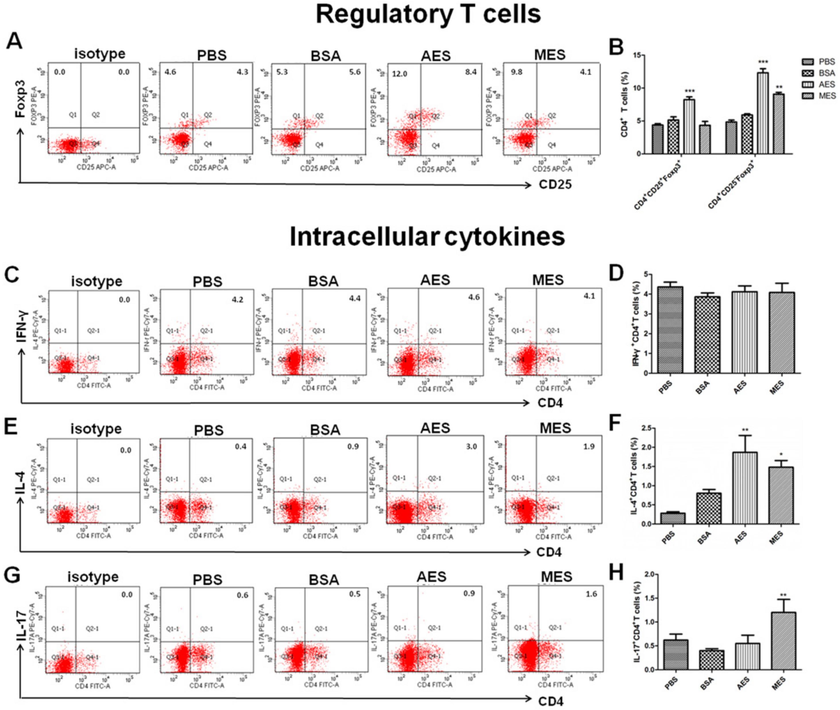 Cells 08 01404 g008
