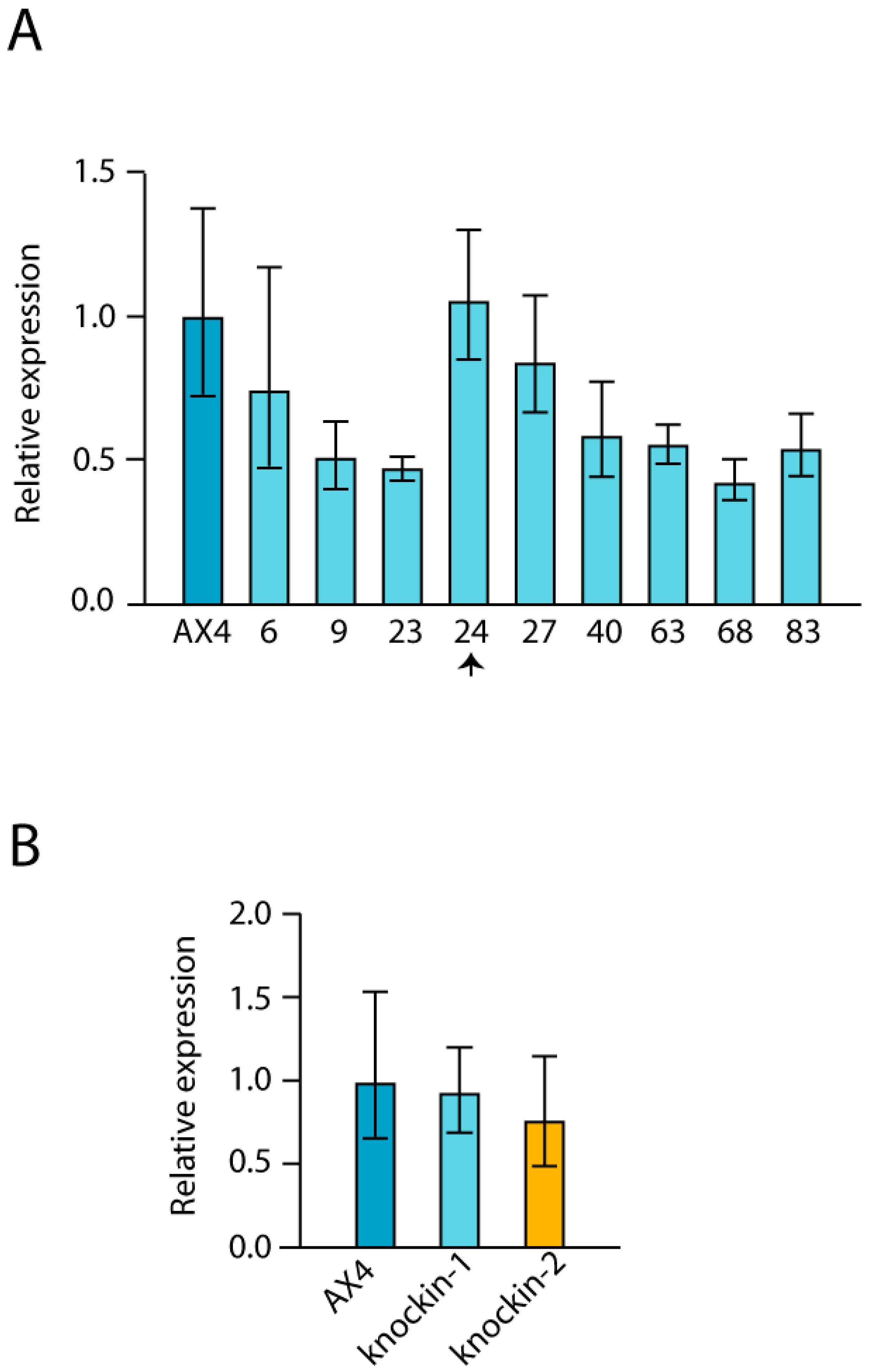Cells 08 01406 g0a1 Cells 08 01406 g0a1