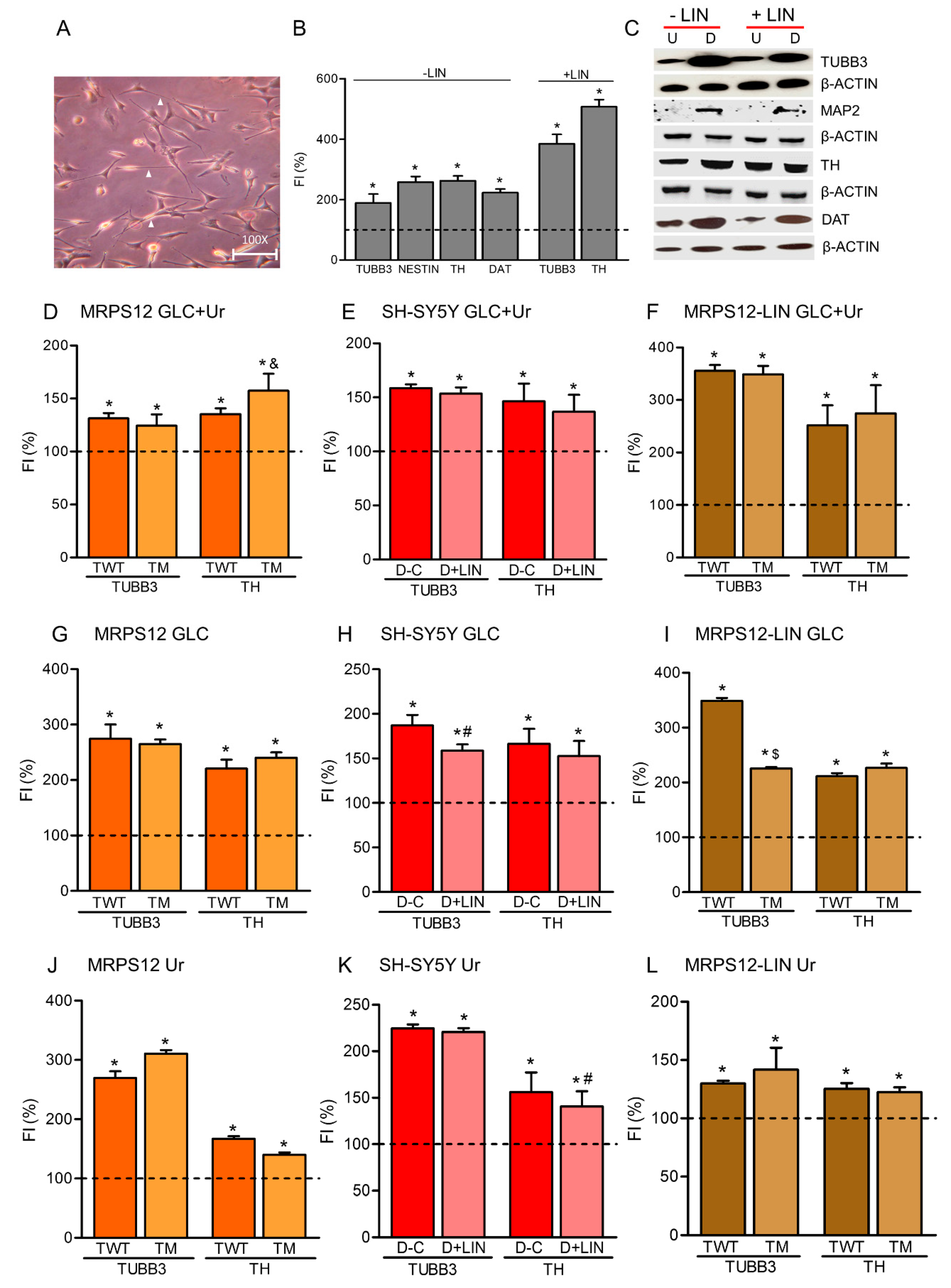 Cells 08 01407 g003