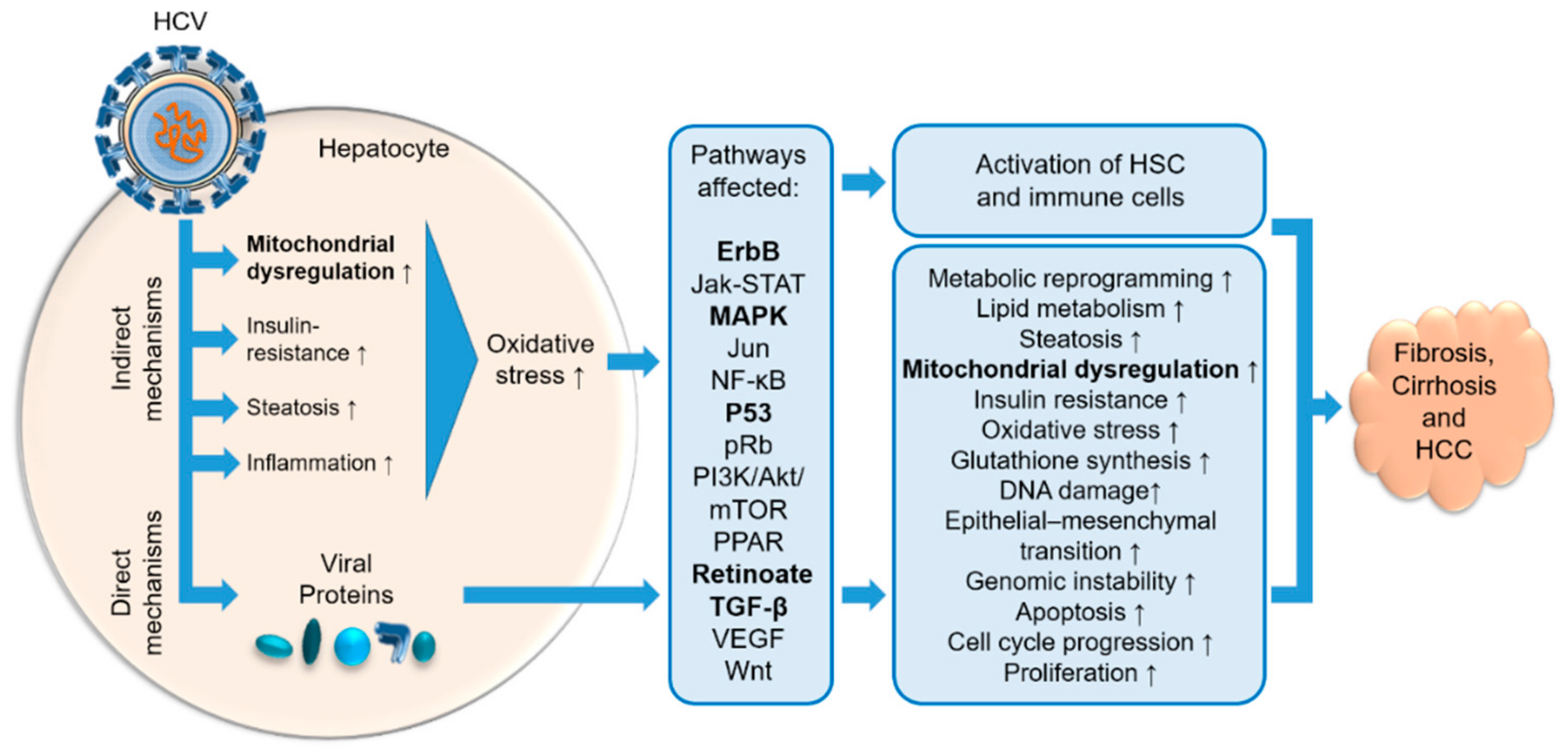 Cells 08 01410 g005 Cells 08 01410 g005