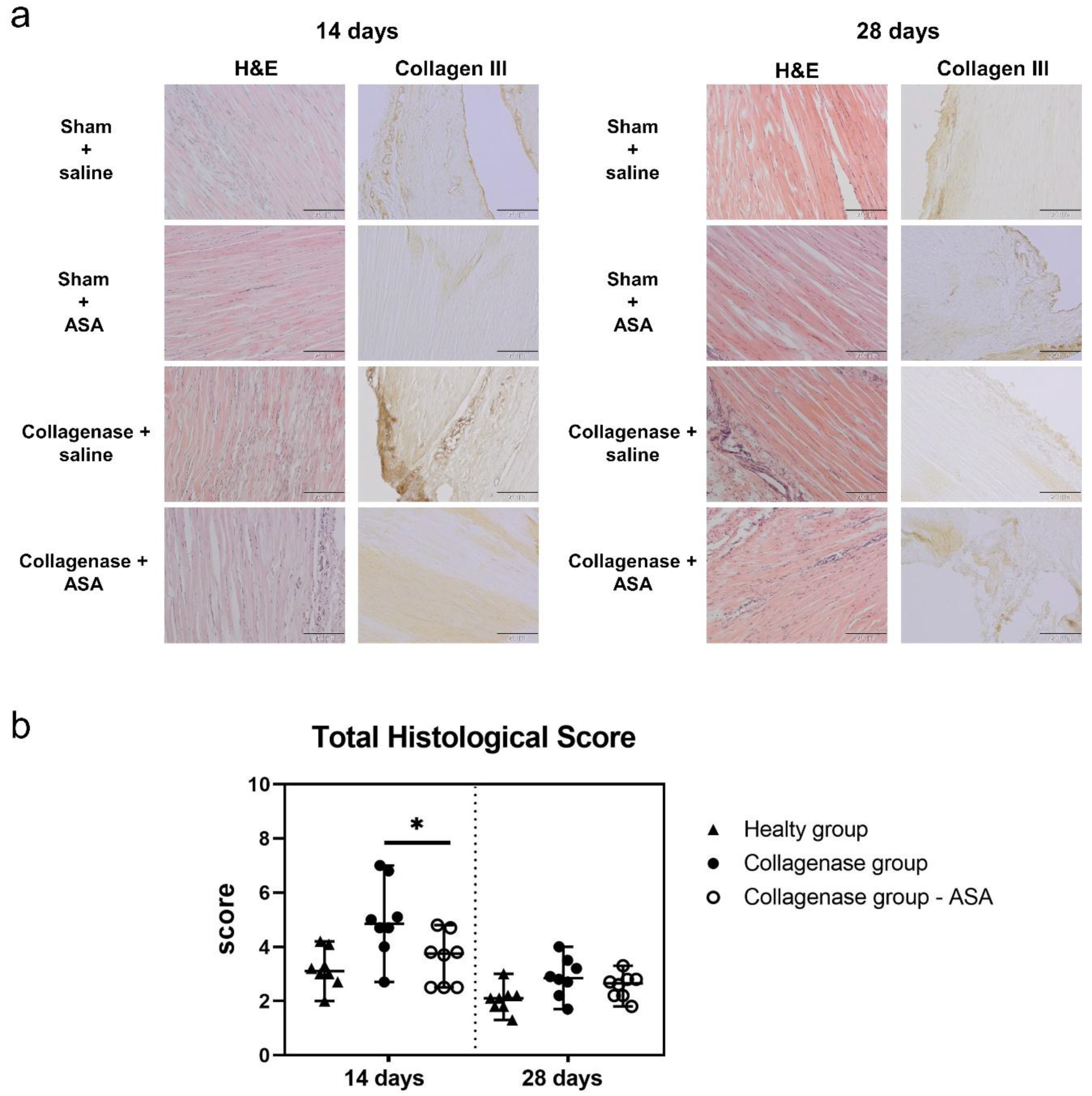 Cells 08 01411 g003