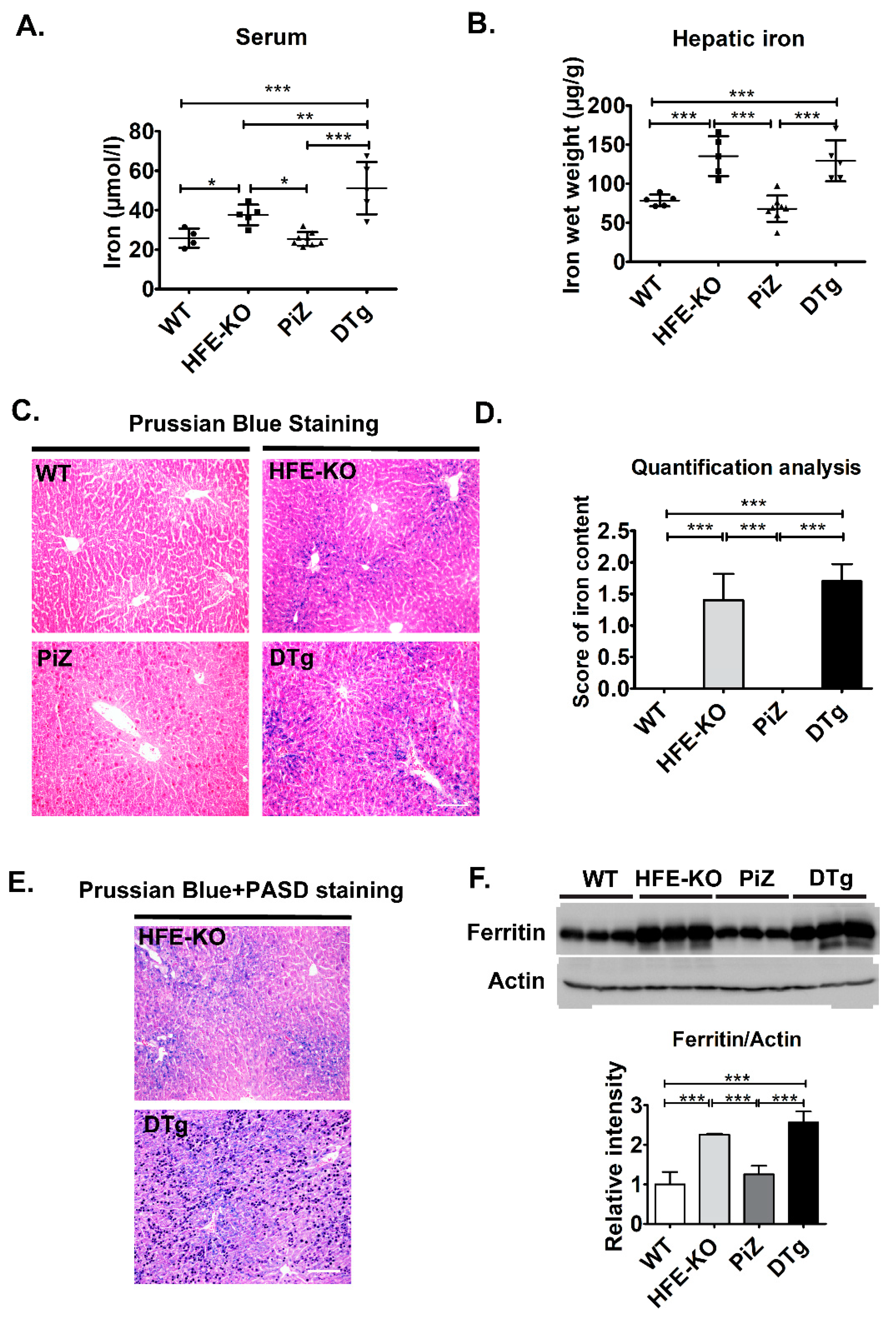 Cells 08 01415 g003
