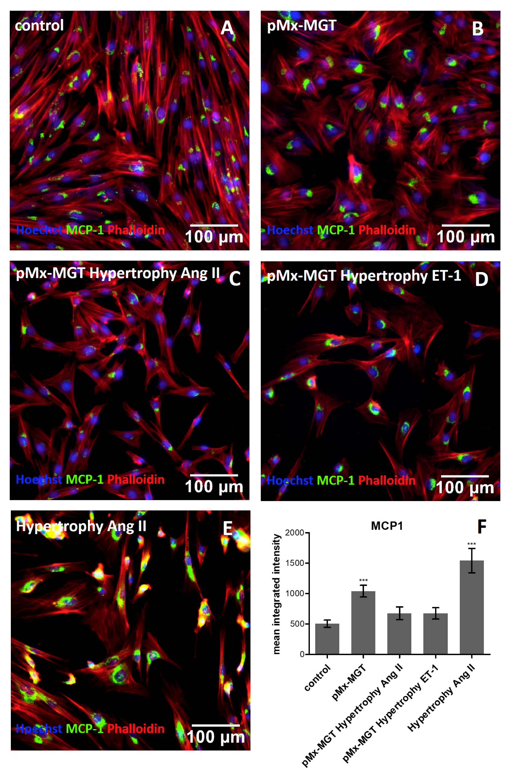 Cells 08 01416 g004