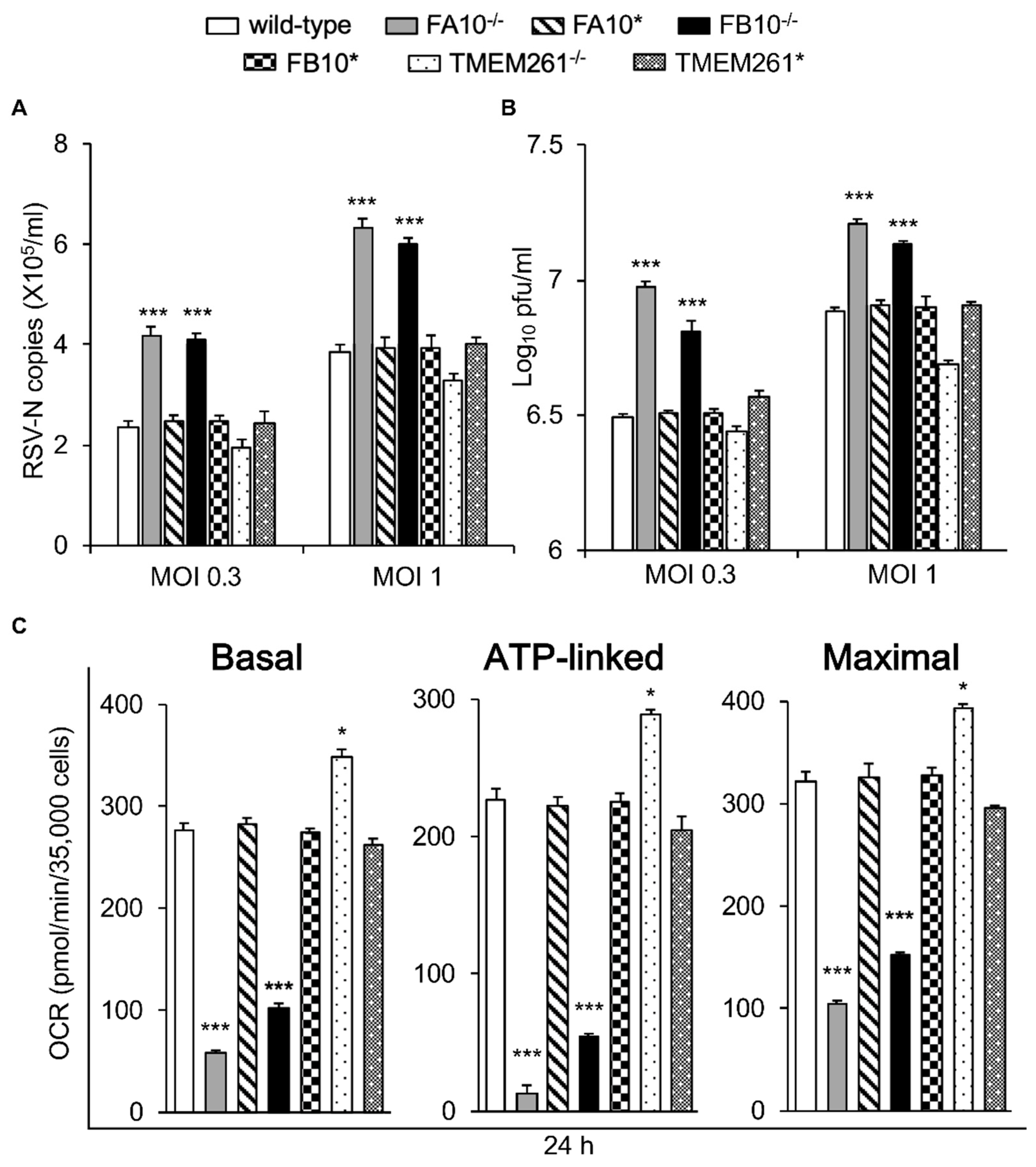 Cells 08 01417 g003 Cells 08 01417 g003