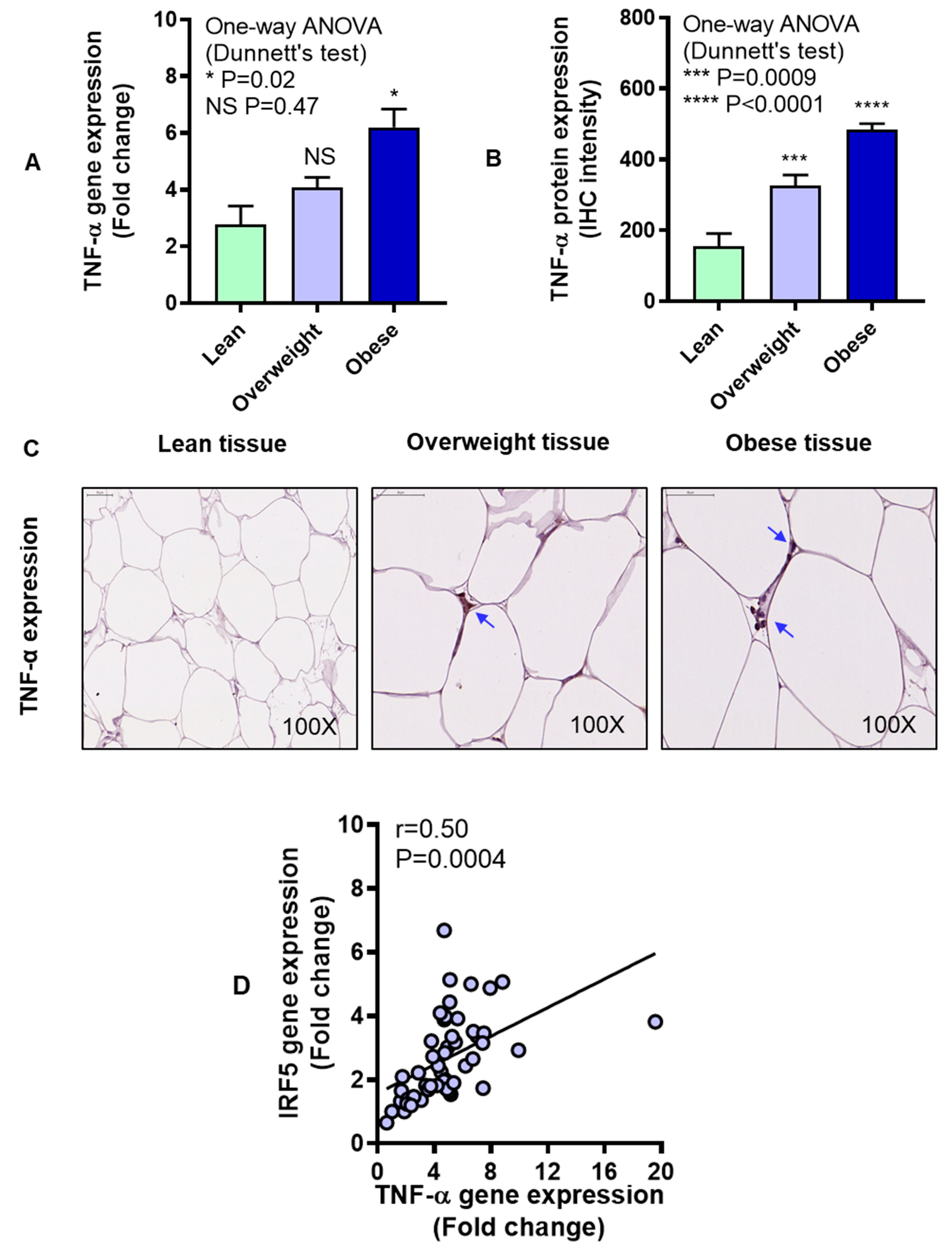 Cells 08 01418 g003 Cells 08 01418 g003