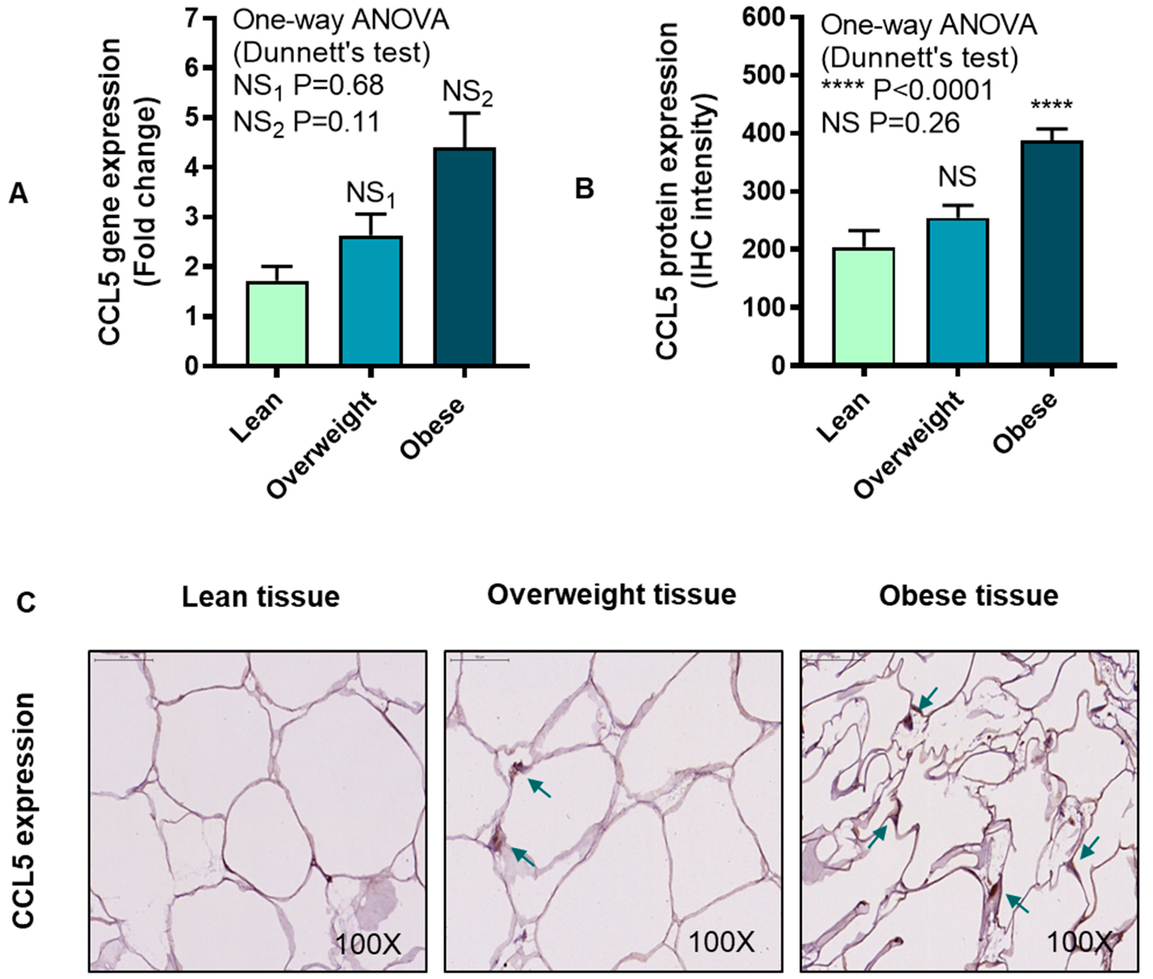 Cells 08 01418 g006a Cells 08 01418 g006a