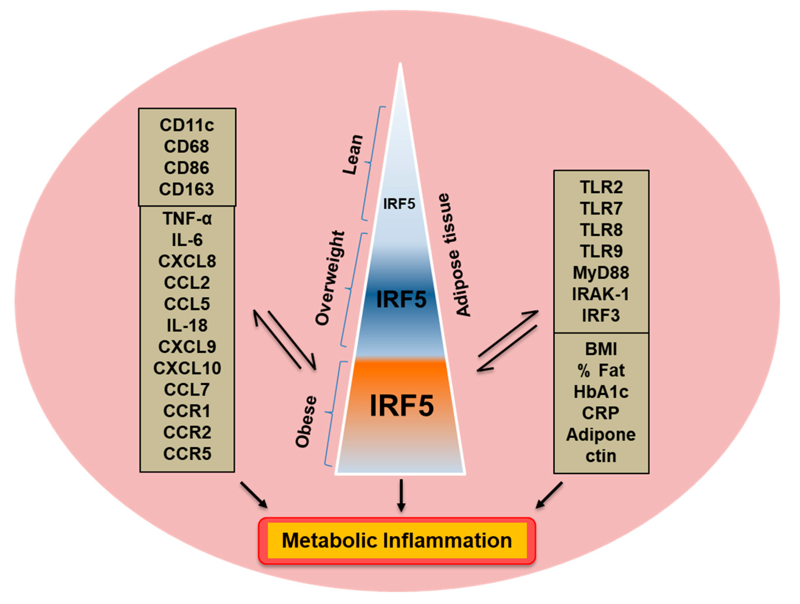 Cells 08 01418 g009 Cells 08 01418 g009