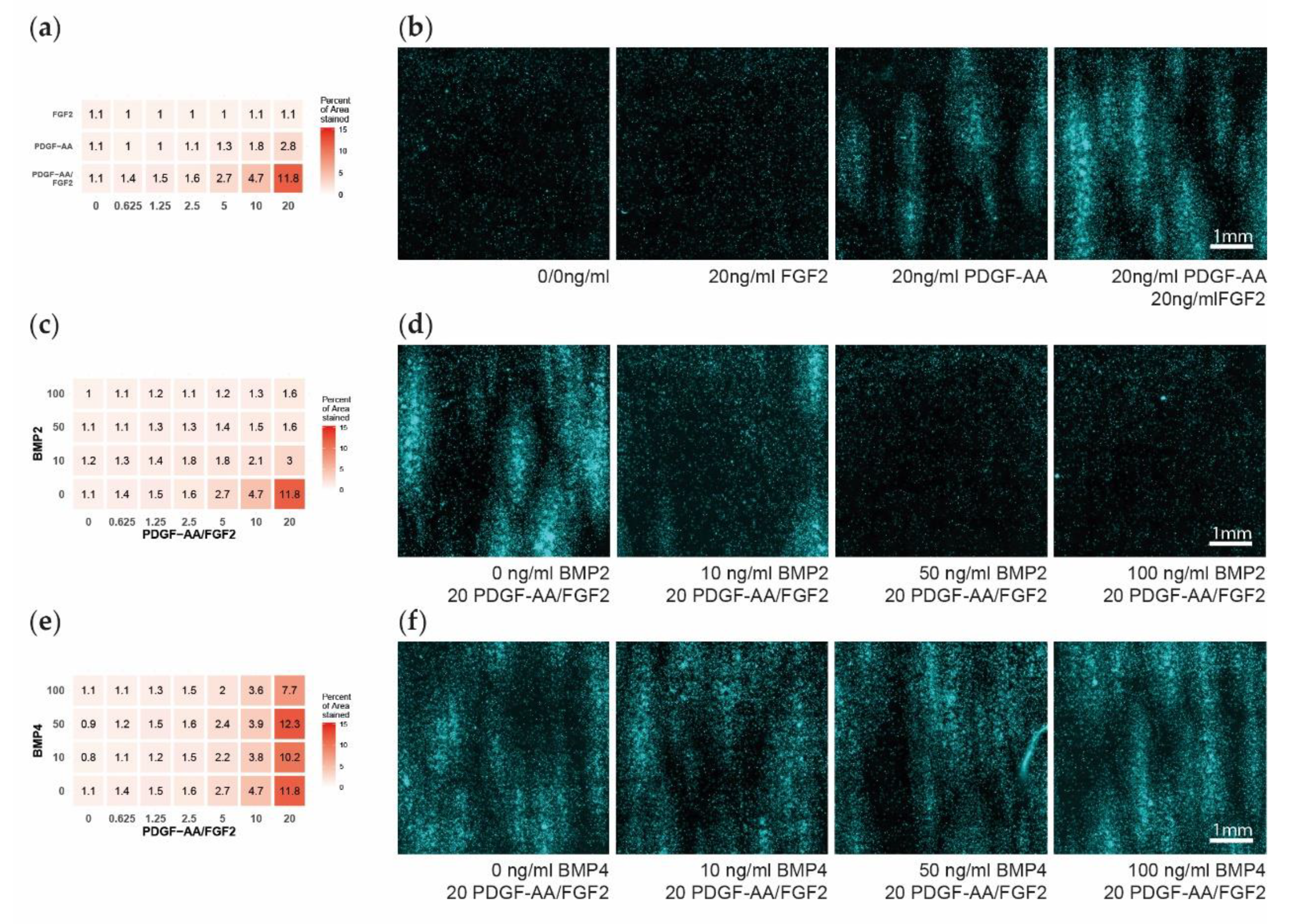 Cells 08 01422 g002 Cells 08 01422 g002
