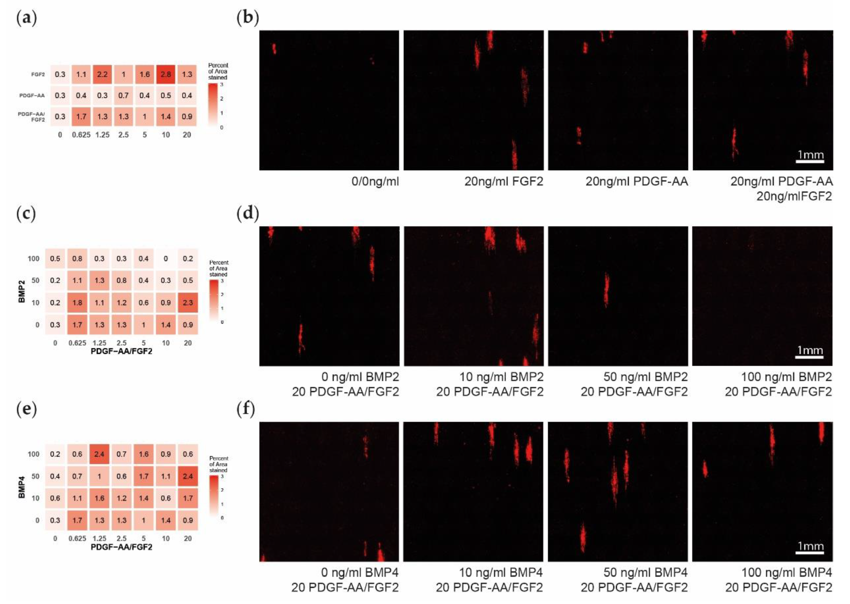 Cells 08 01422 g004 Cells 08 01422 g004