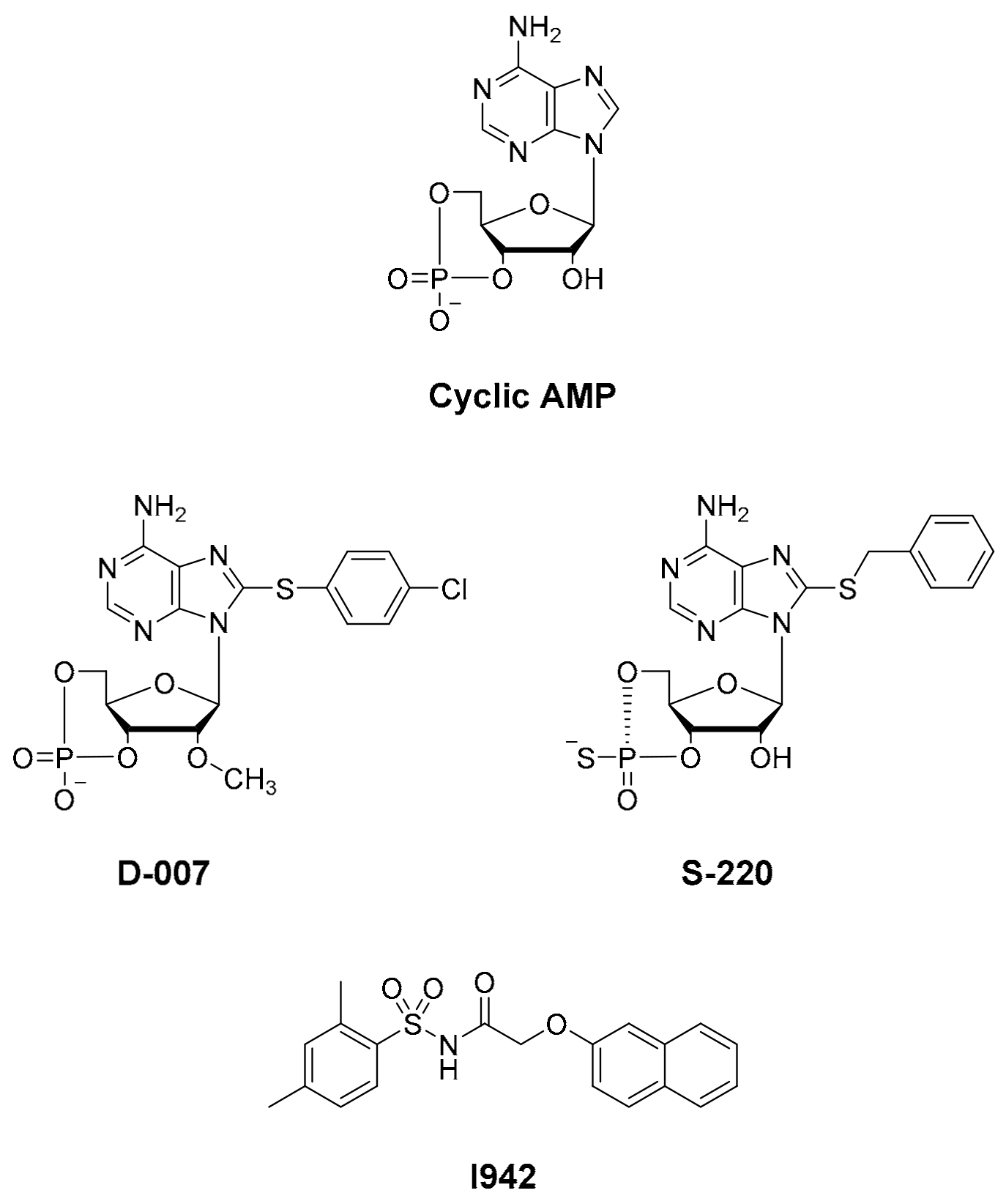 Cells Free Full Text Identification Of A Novel Class Of Benzofuran Oxoacetic Acid Derived Ligands That Selectively Activate Cellular Epac1 Html