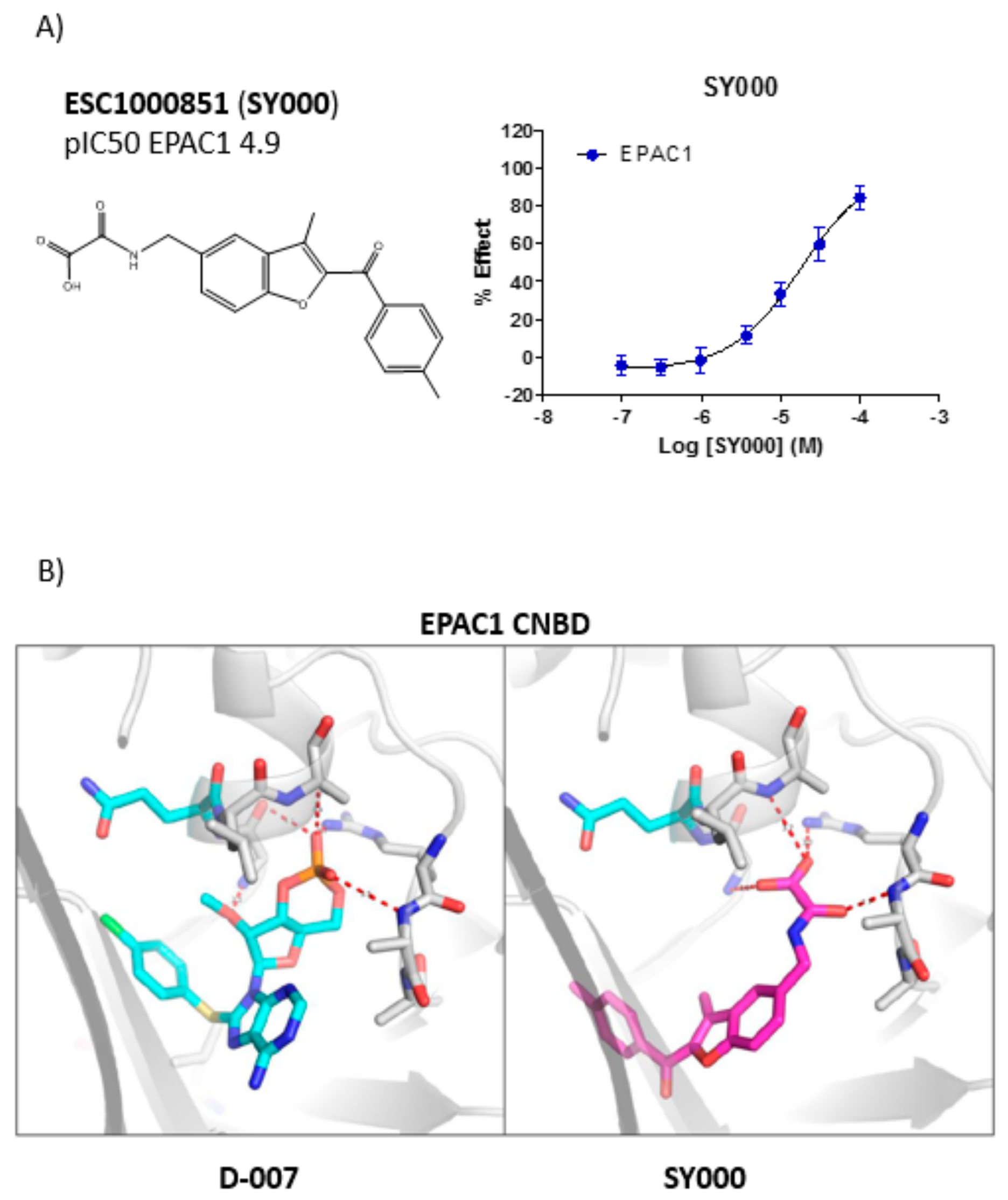 Cells 08 01425 g003 Cells 08 01425 g003