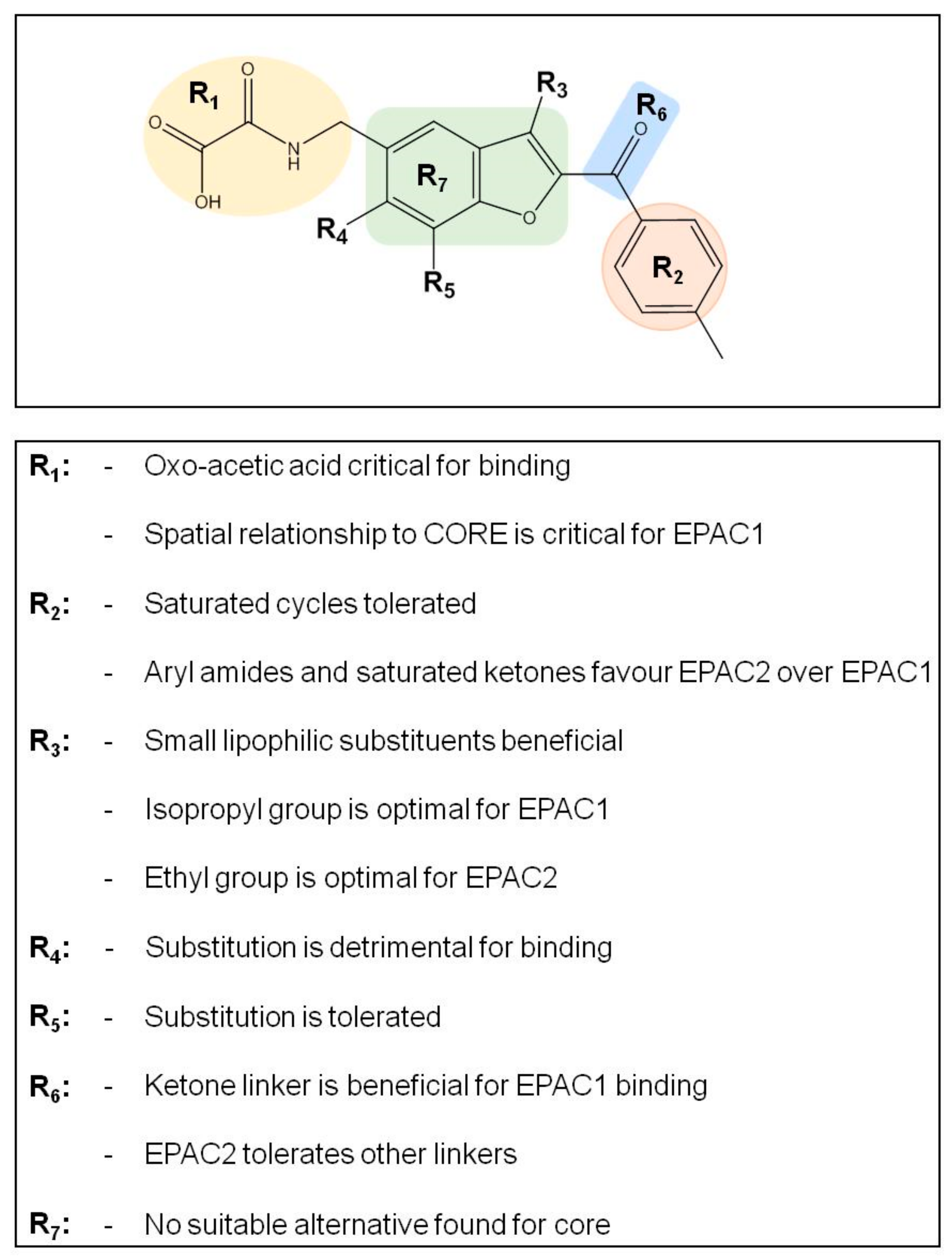 Cells 08 01425 g004 Cells 08 01425 g004