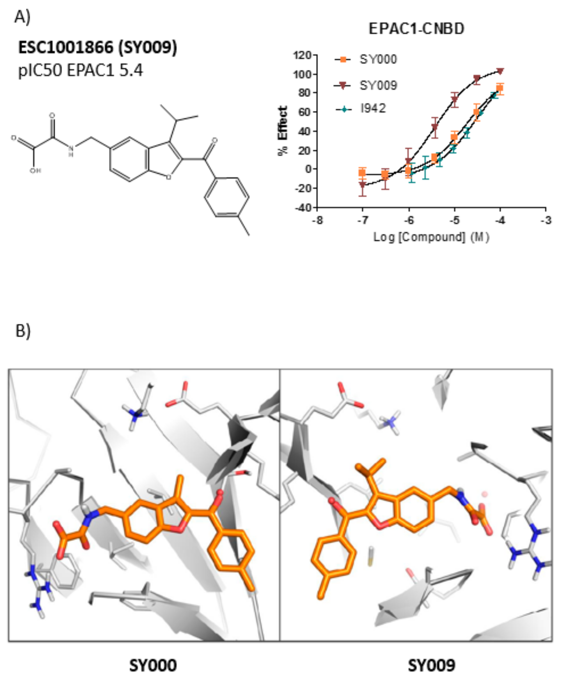 Cells 08 01425 g005 Cells 08 01425 g005