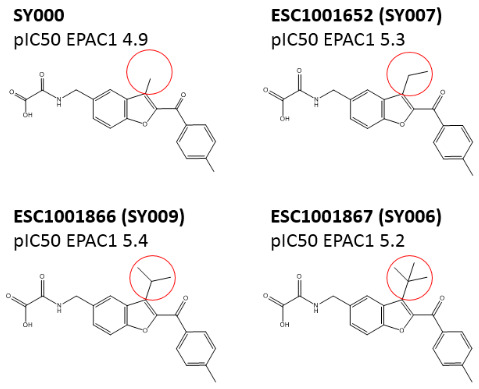Cells 08 01425 g006 Cells 08 01425 g006