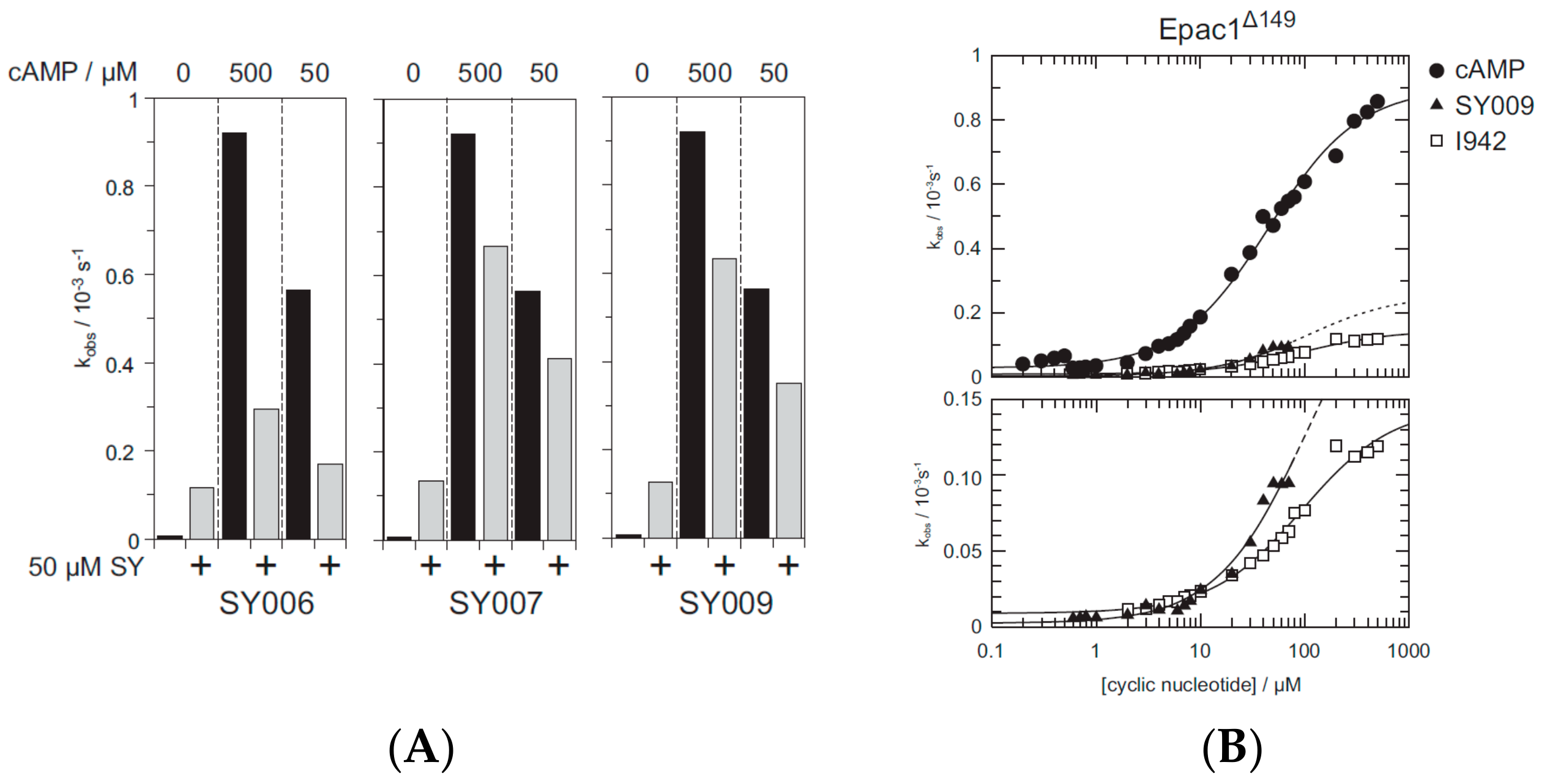 Cells 08 01425 g007 Cells 08 01425 g007