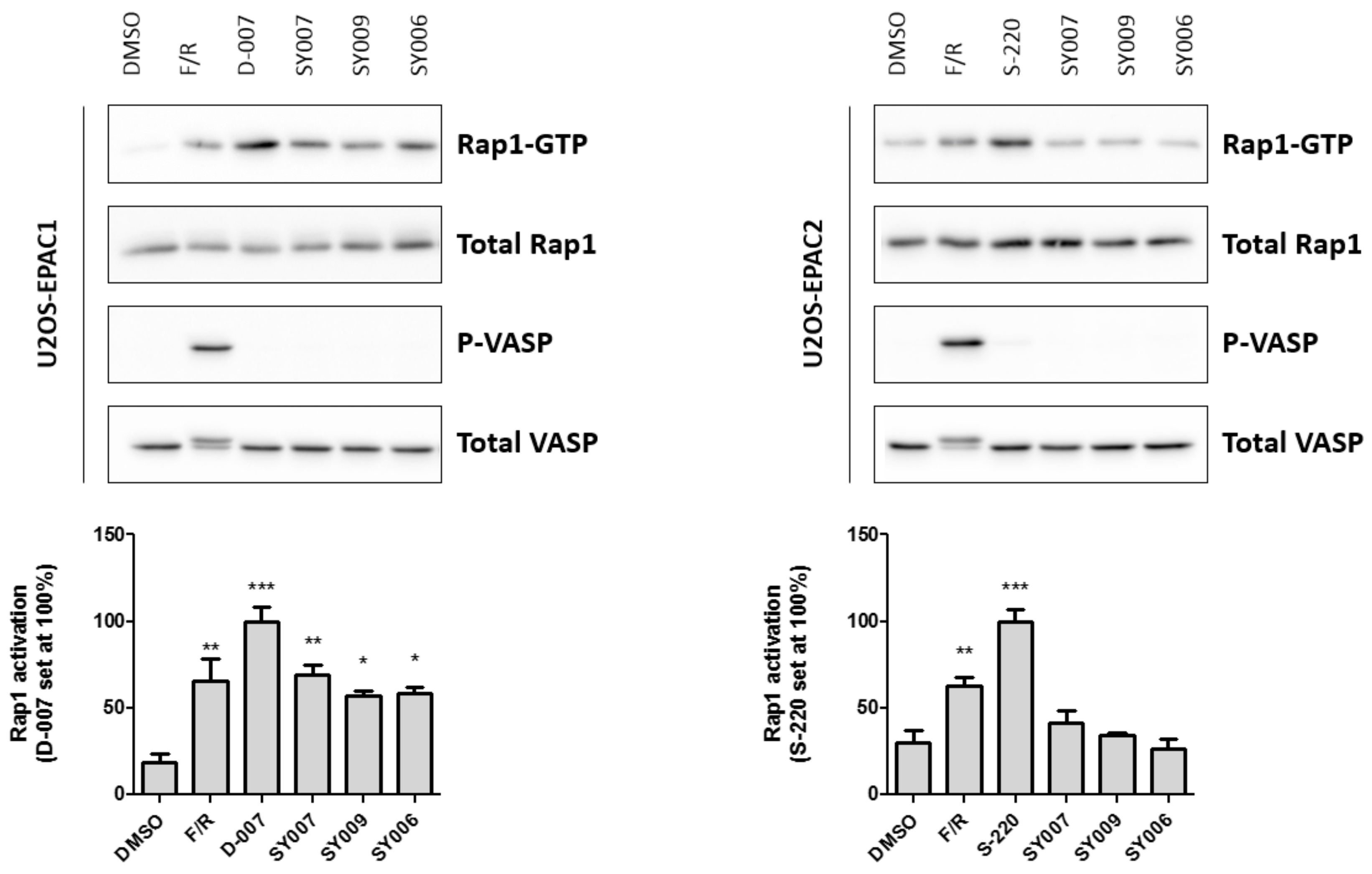 Cells 08 01425 g008 Cells 08 01425 g008