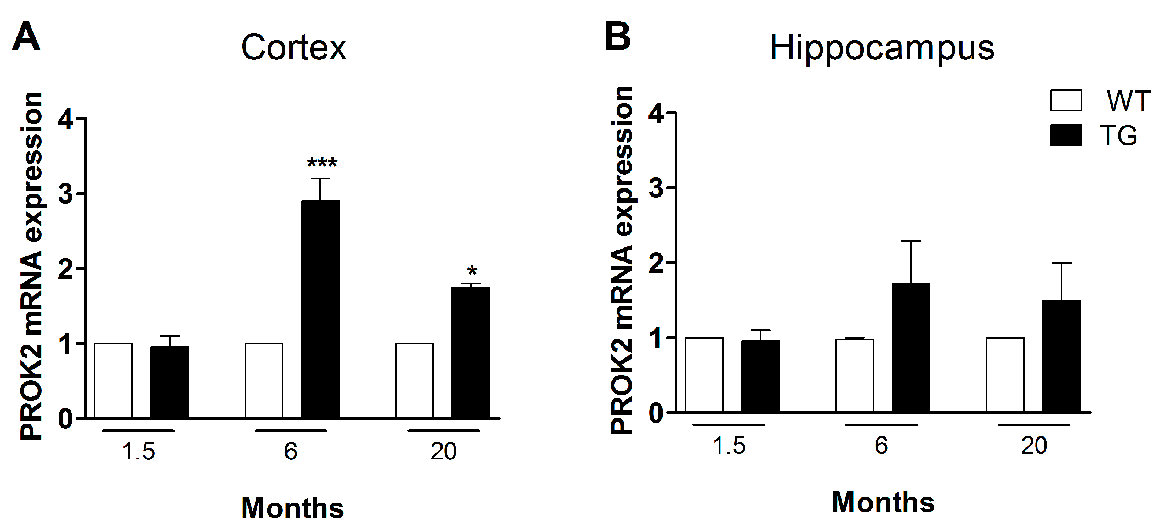 Cells 08 01430 g003 Cells 08 01430 g003
