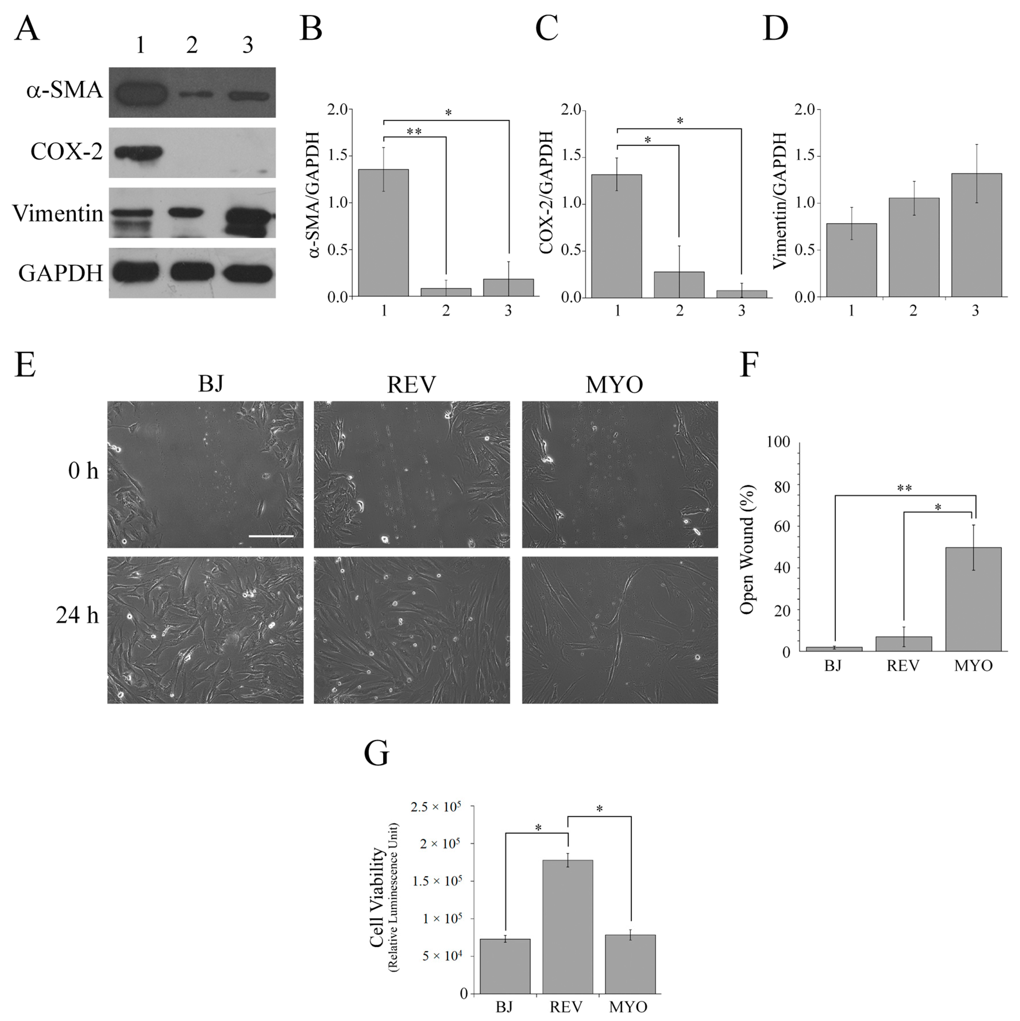 Cells 08 01435 g002 Cells 08 01435 g002