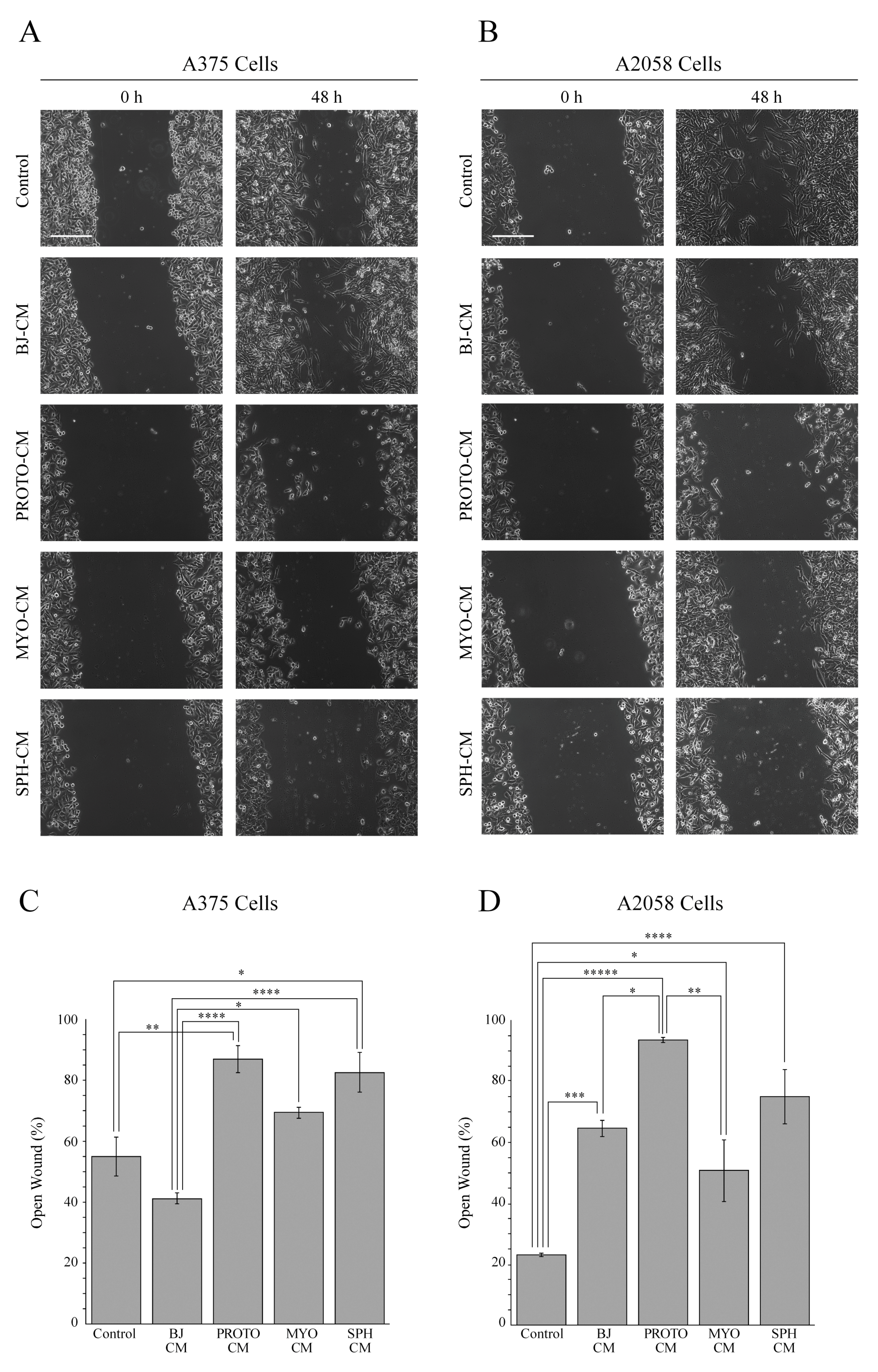 Cells 08 01435 g005 Cells 08 01435 g005