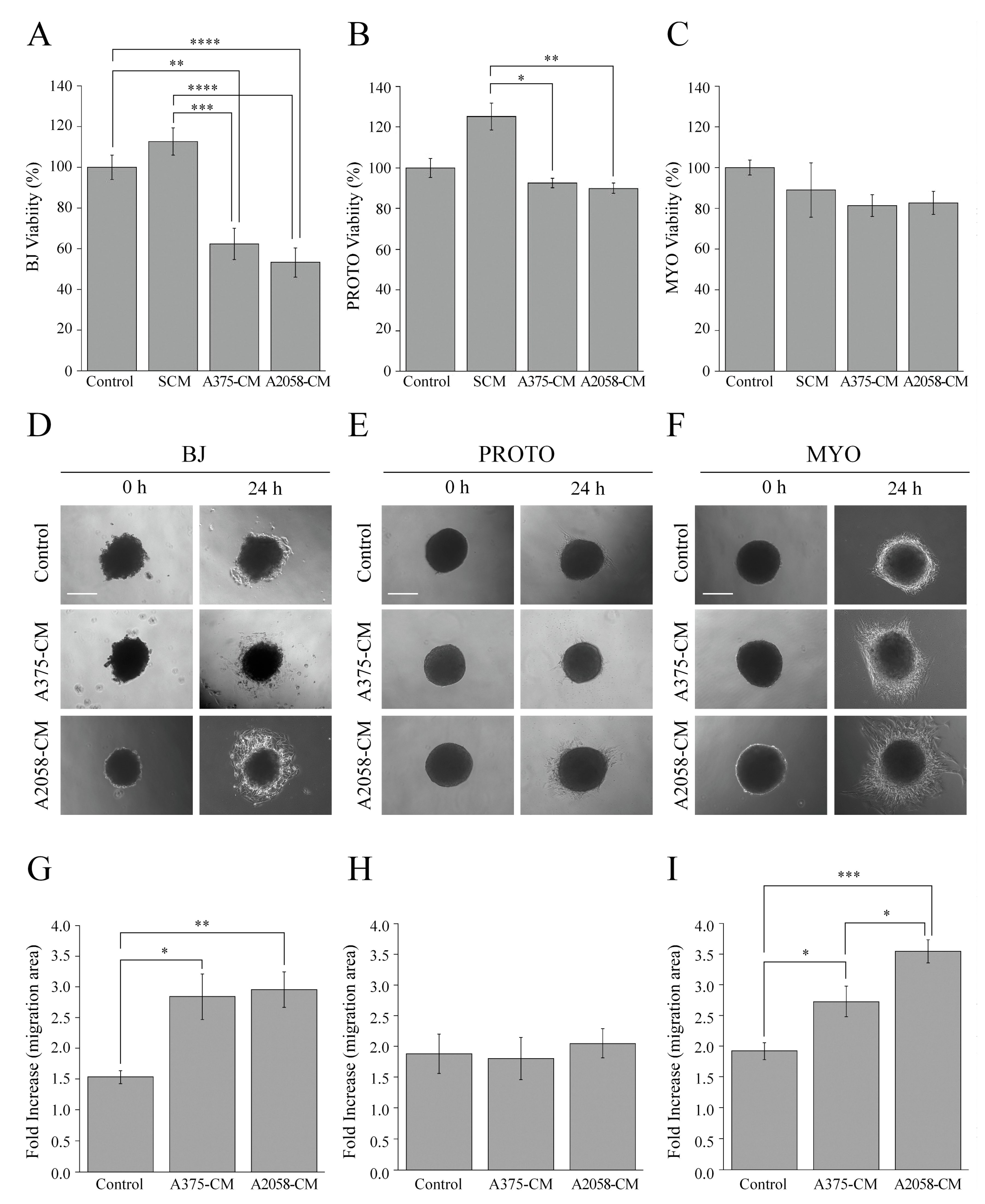 Cells 08 01435 g006 Cells 08 01435 g006