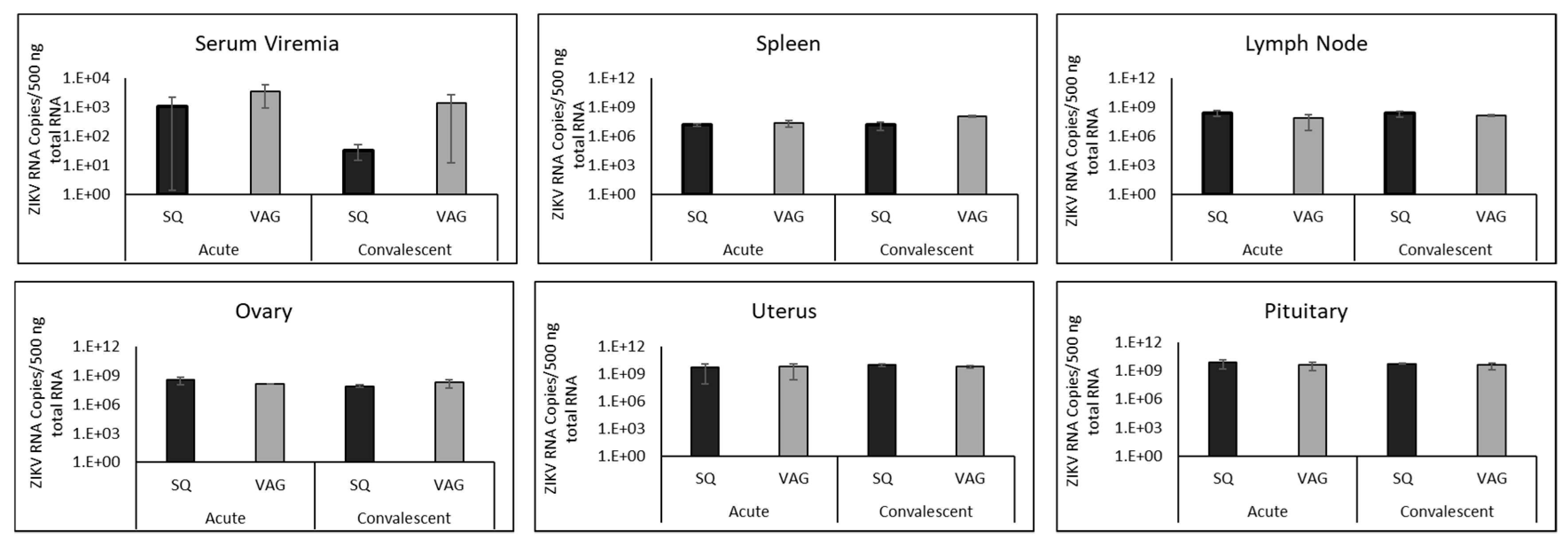 Cells 08 01437 g003 Cells 08 01437 g003