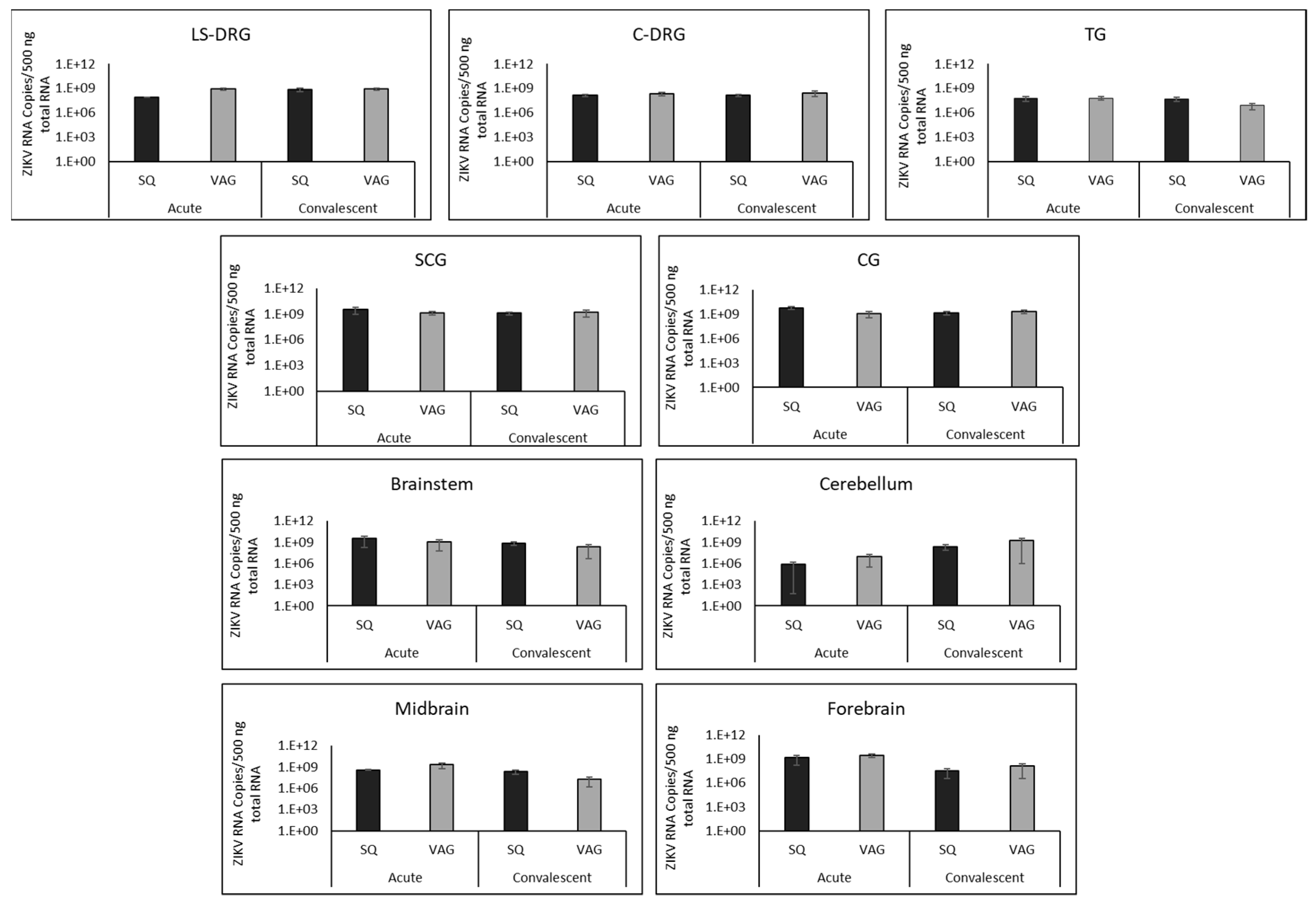 Cells 08 01437 g005 Cells 08 01437 g005