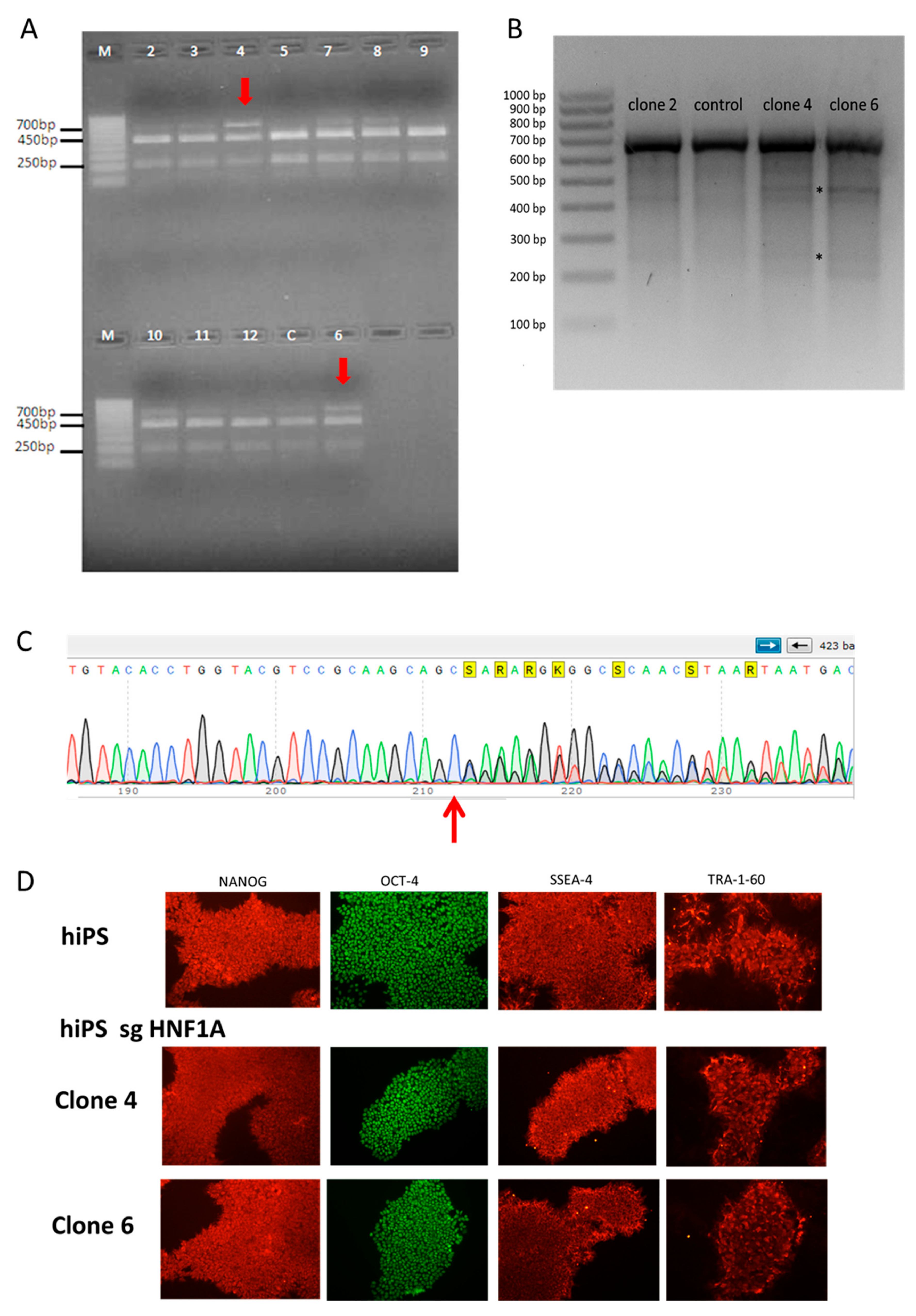 Cells 08 01440 g001 Cells 08 01440 g001