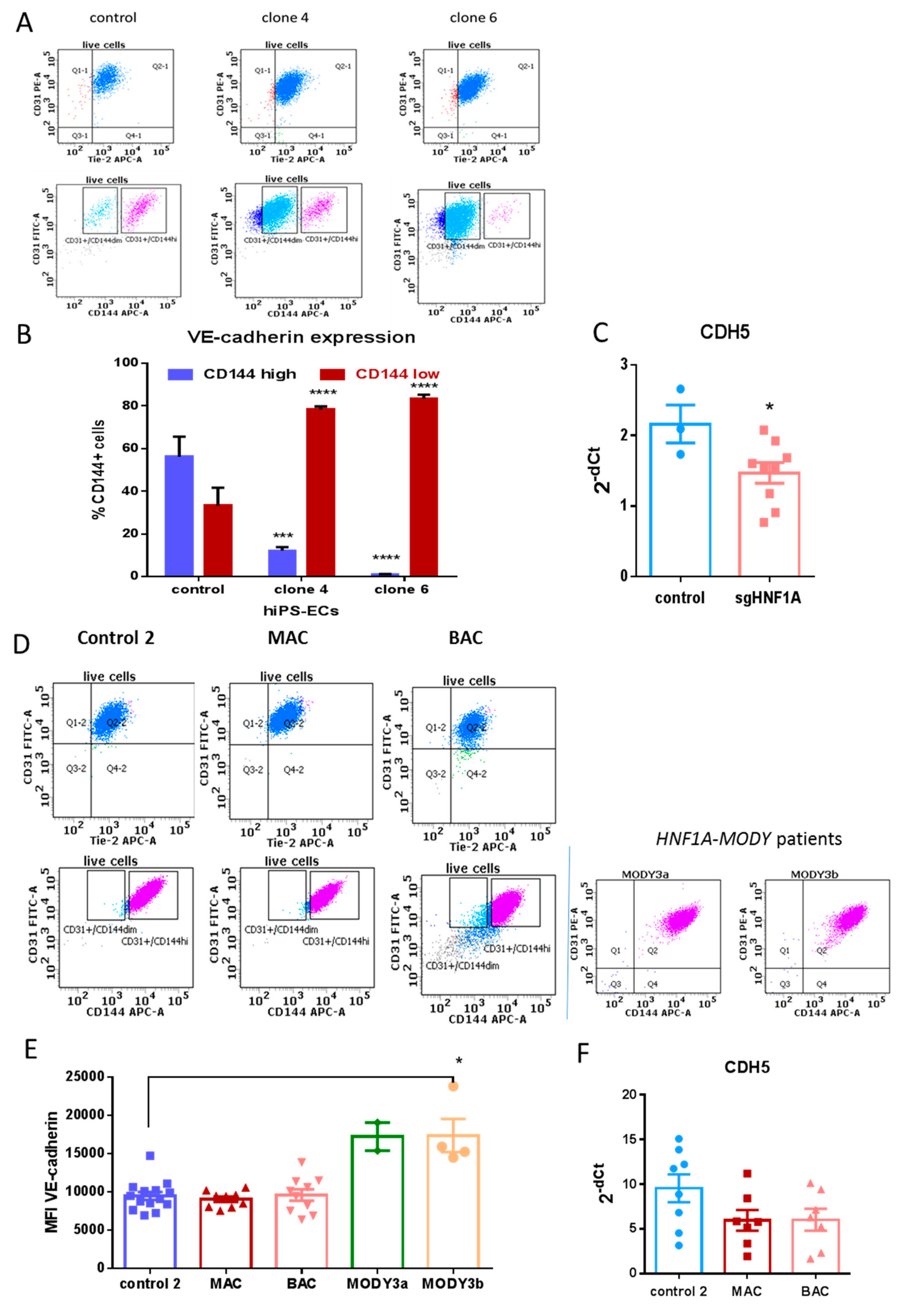 Cells 08 01440 g002 Cells 08 01440 g002