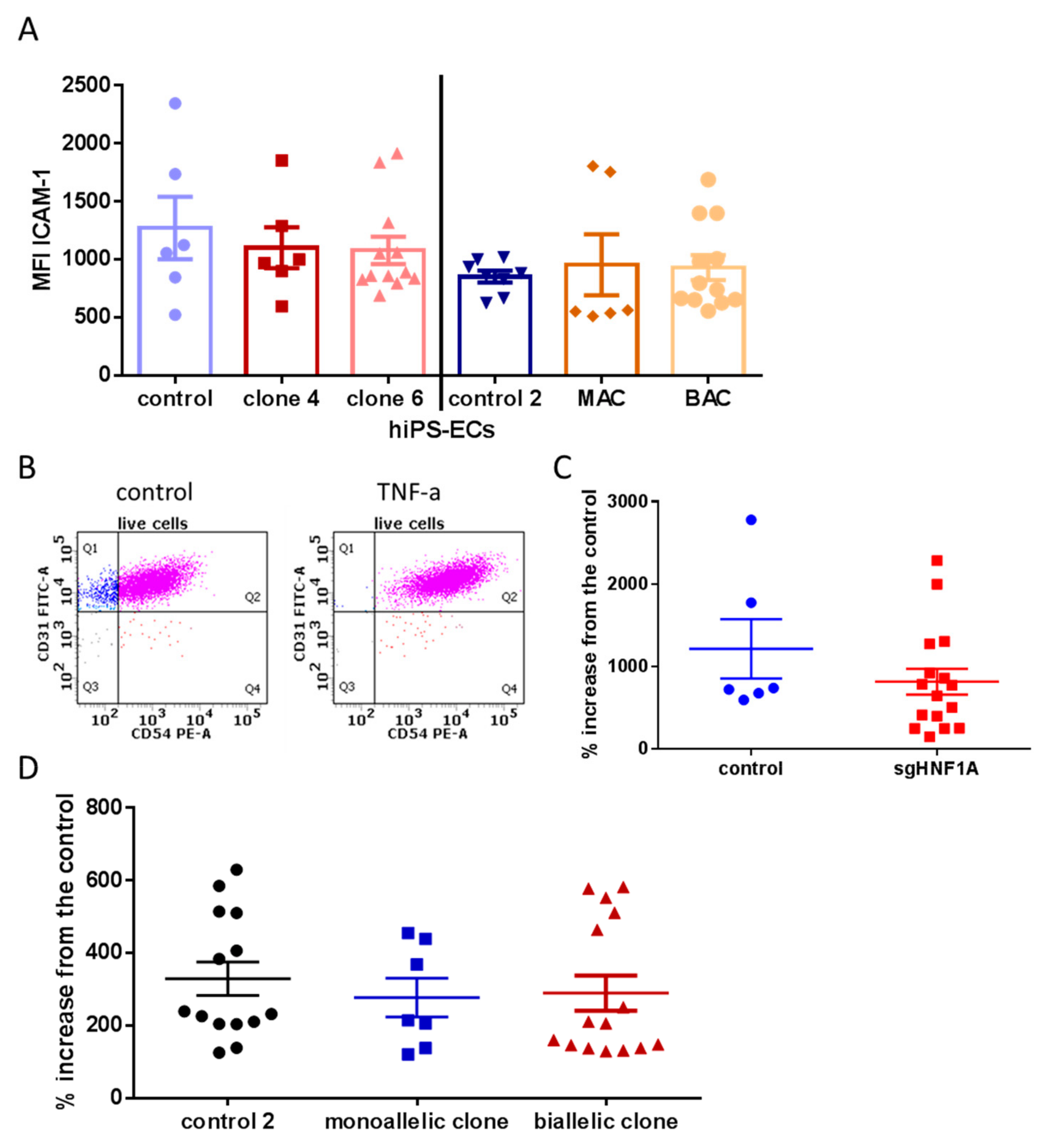 Cells 08 01440 g004 Cells 08 01440 g004
