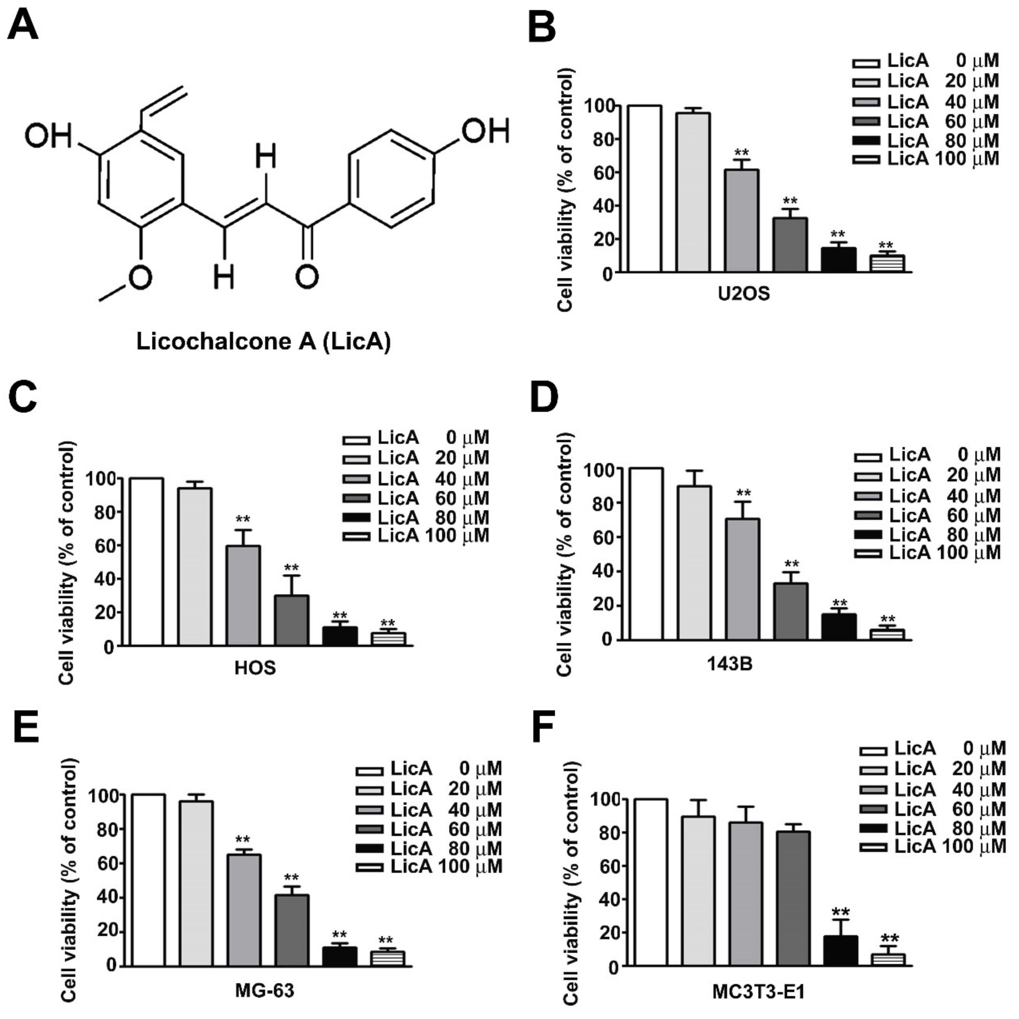 Cells 08 01441 g001 Cells 08 01441 g001