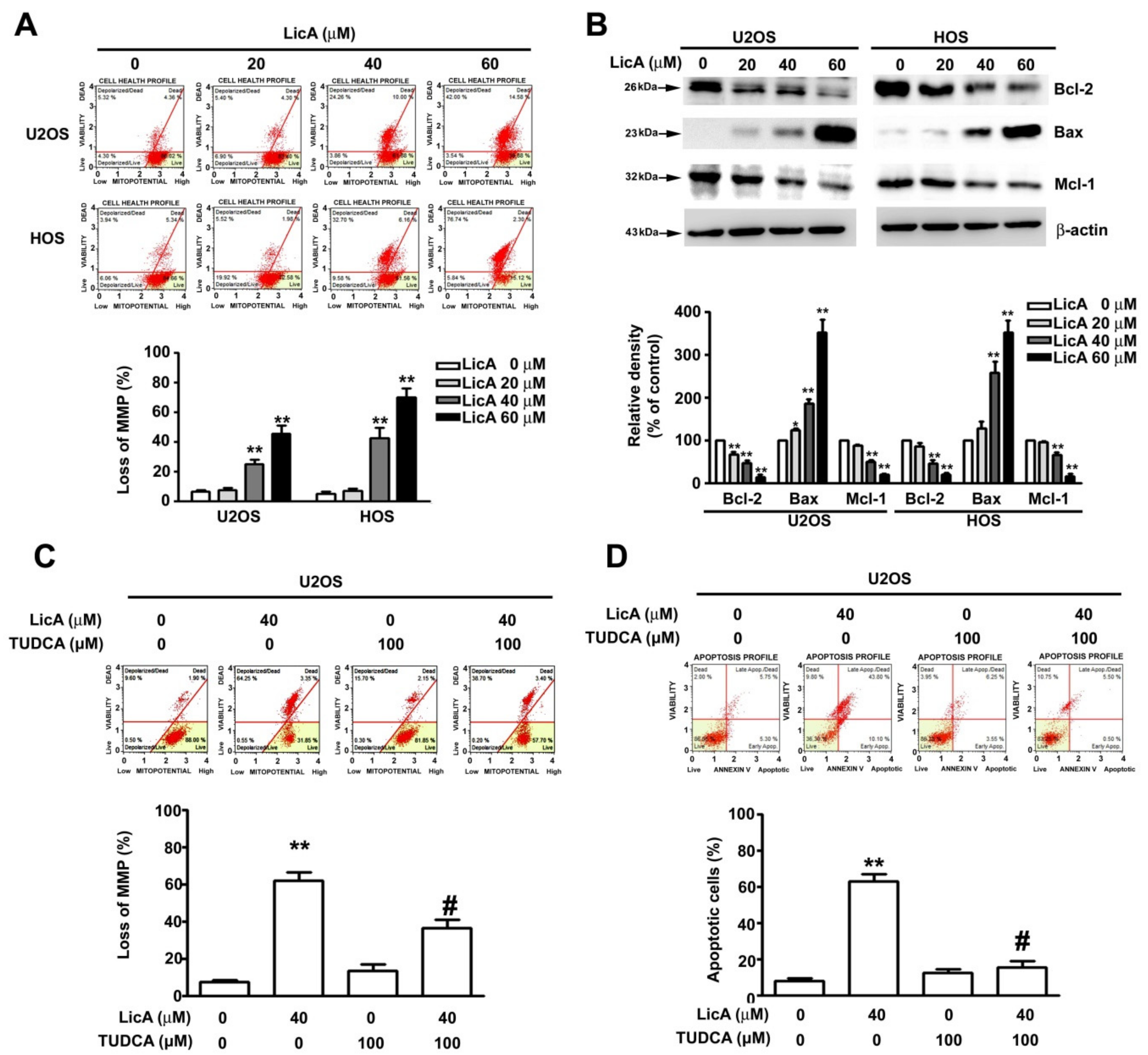 Cells 08 01441 g003 Cells 08 01441 g003