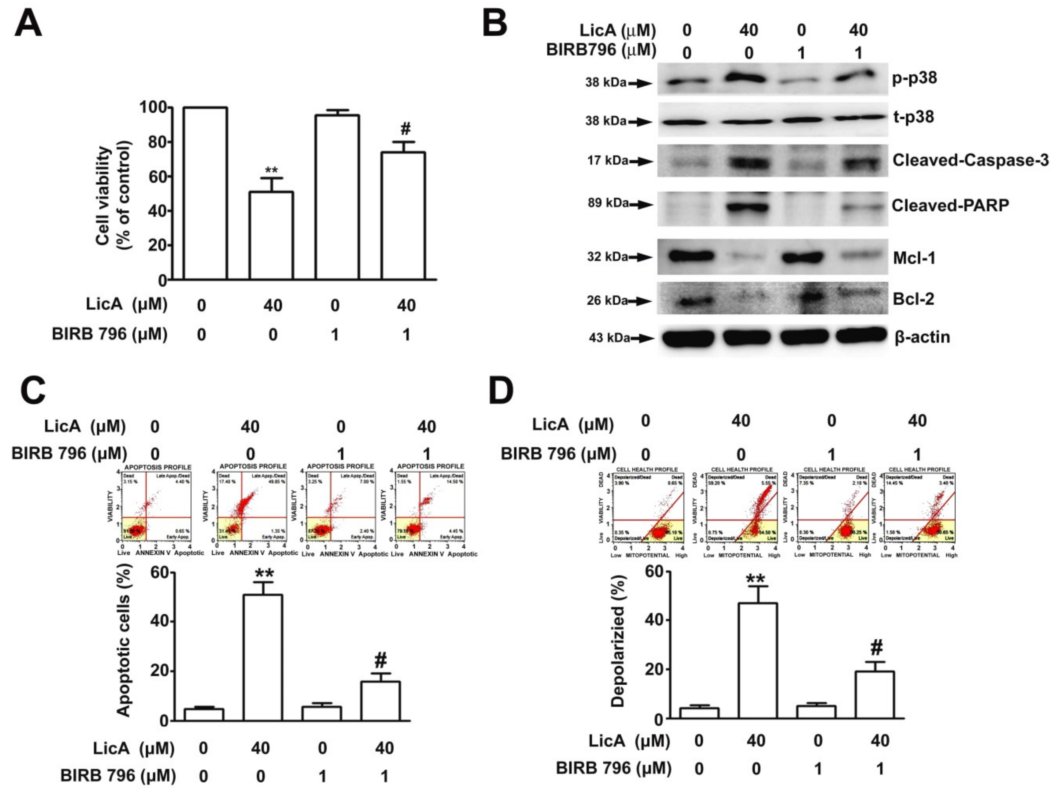 Cells 08 01441 g005 Cells 08 01441 g005
