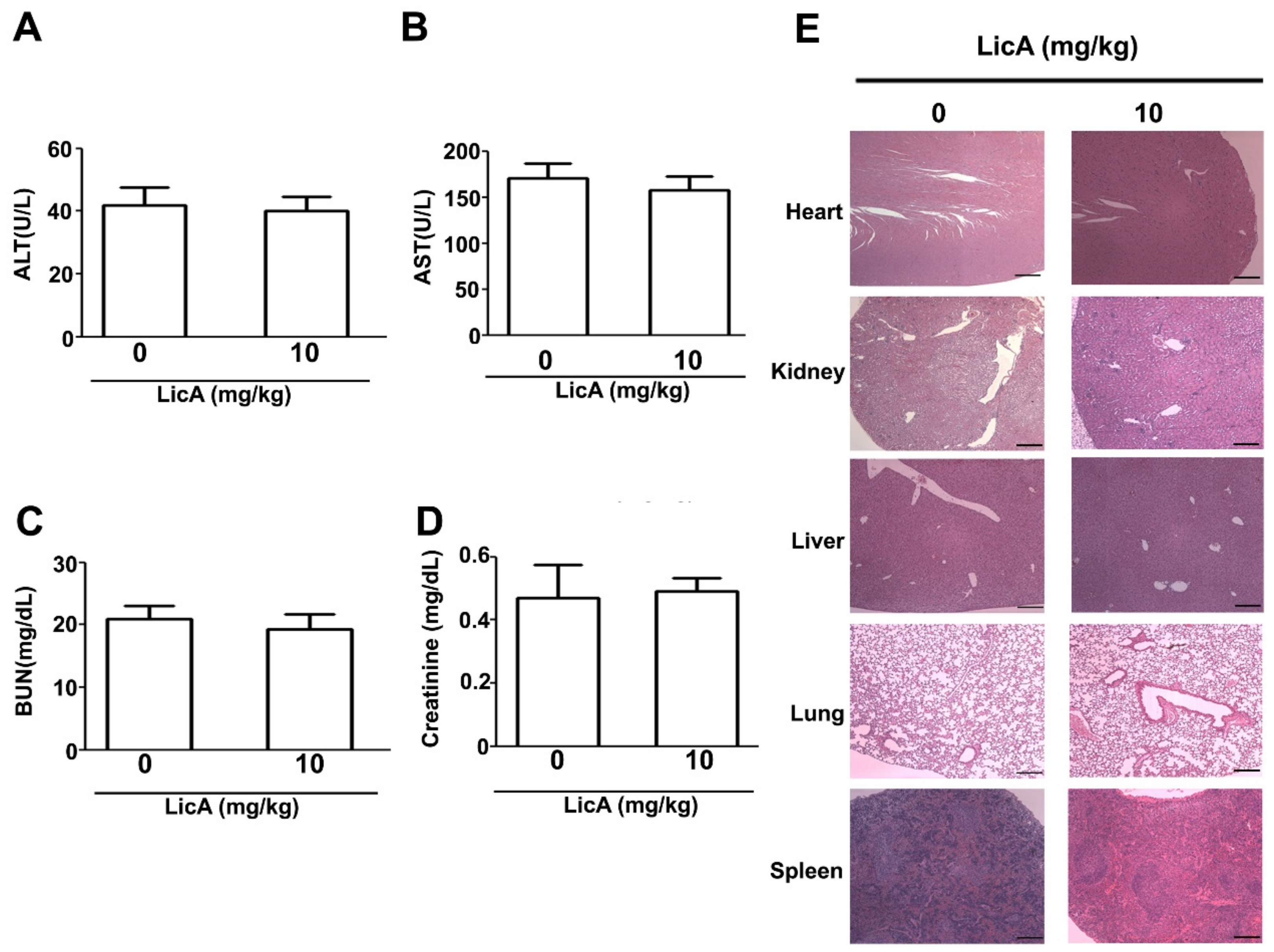Cells 08 01441 g008 Cells 08 01441 g008