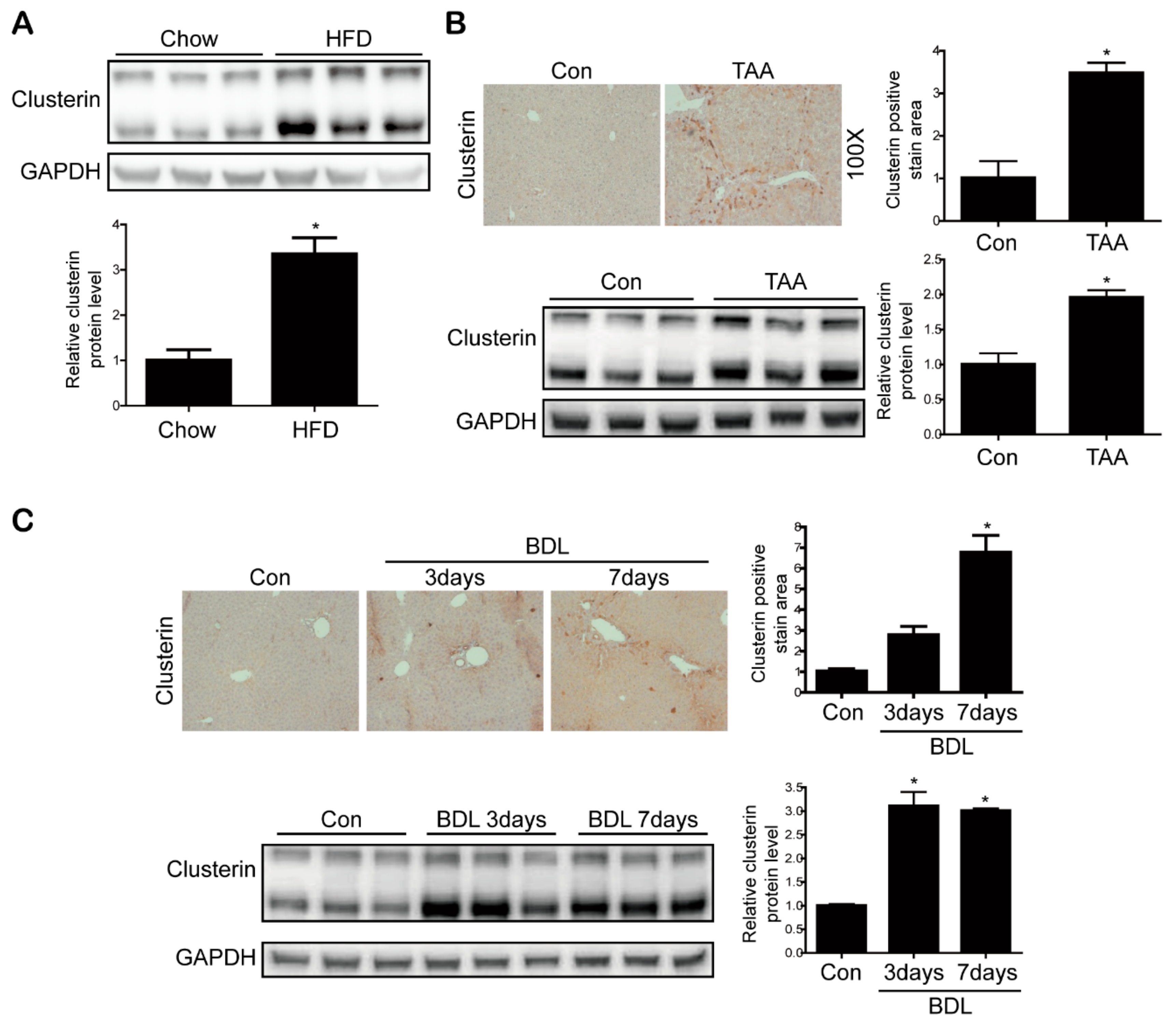 Cells 08 01442 g002 Cells 08 01442 g002