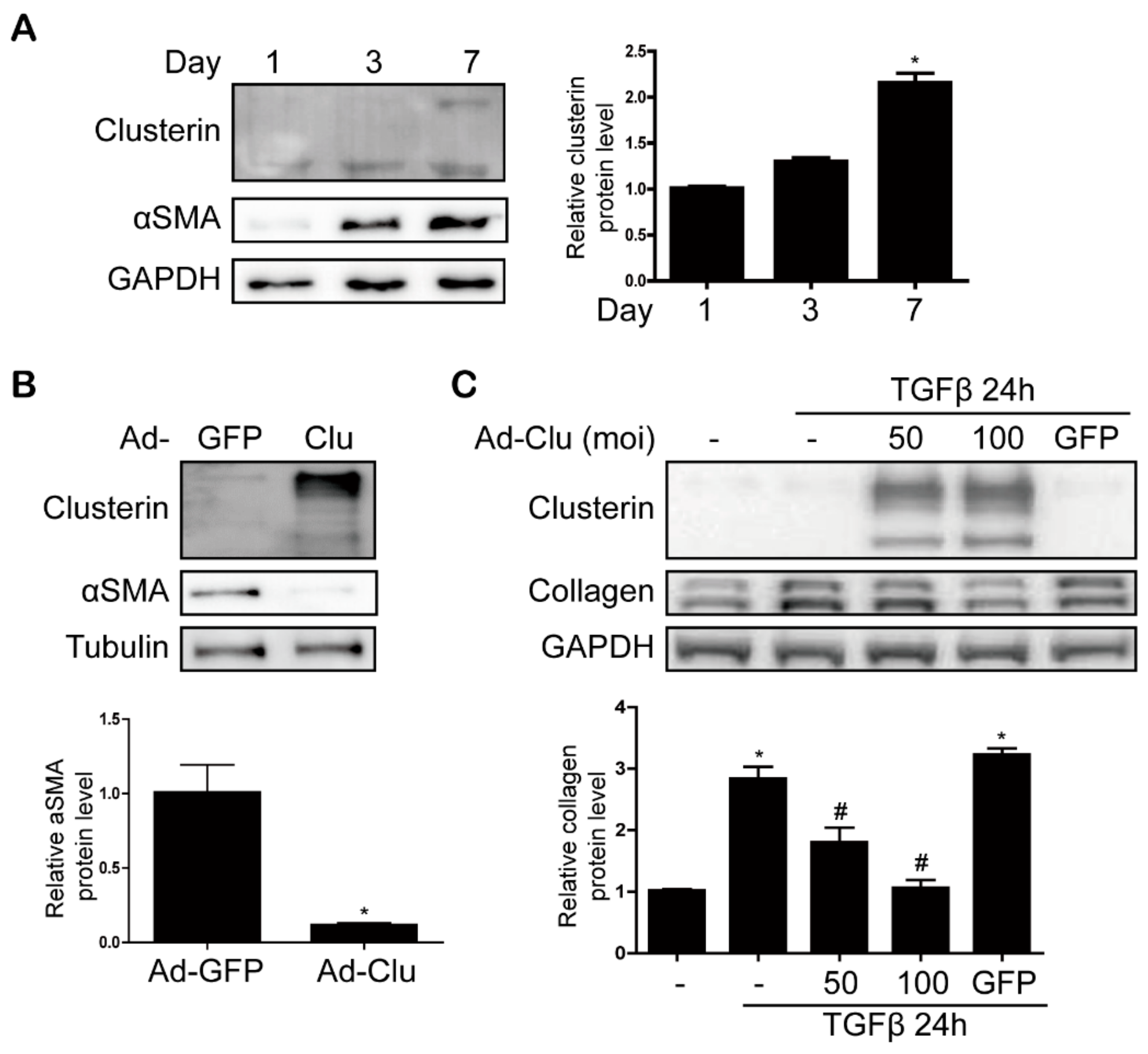 Cells 08 01442 g006 Cells 08 01442 g006