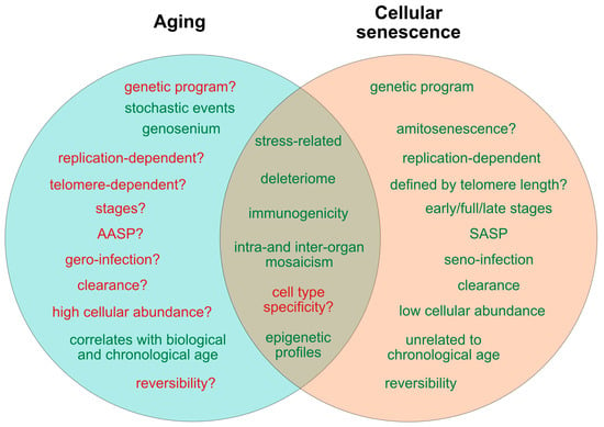 Their cell. Cellular senescence. Cellular senescence Markers. Aging process. What causes Aging.