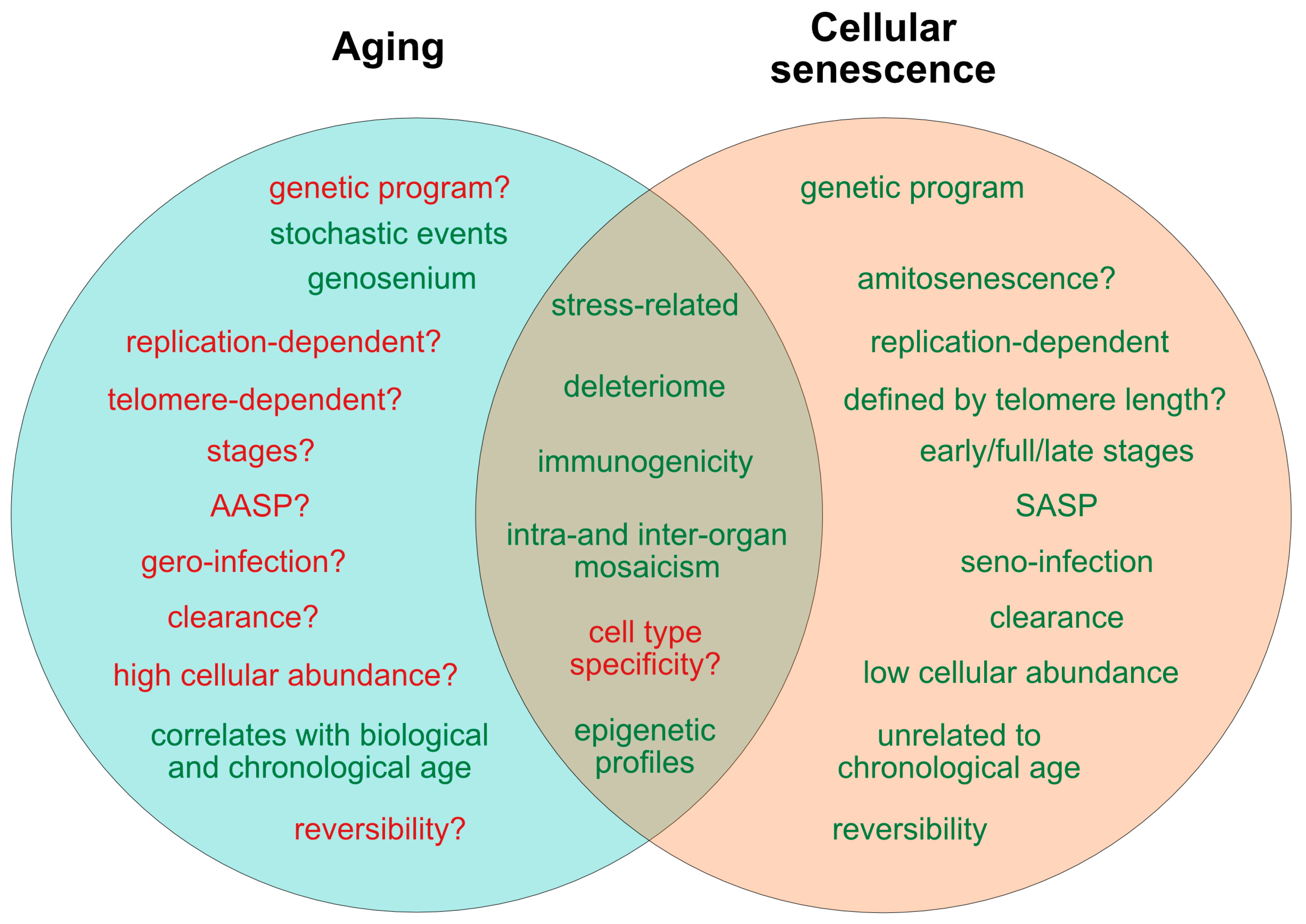 Aging process: найдено 90 изображений Biology Diagrams
