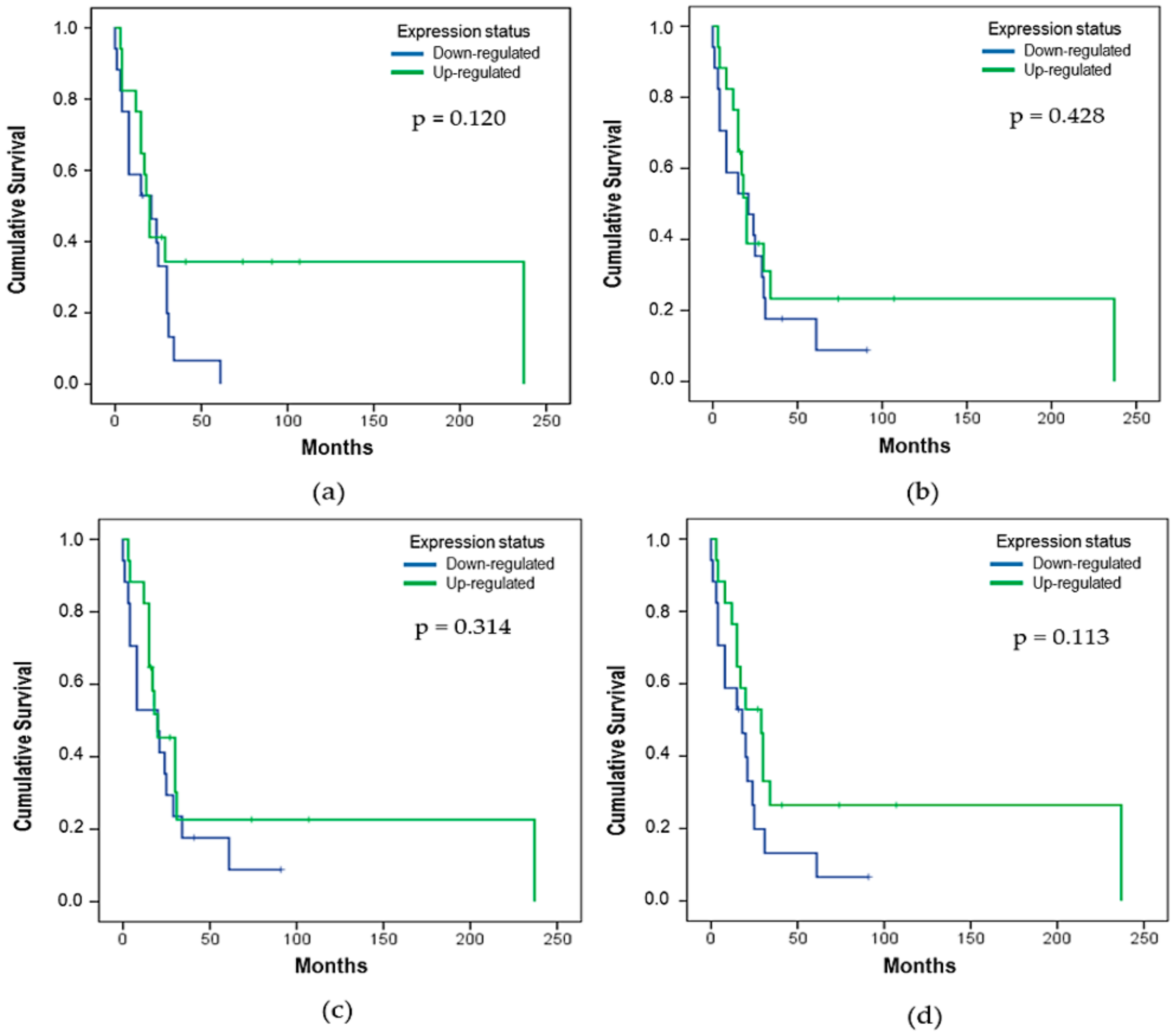 Cells 08 01452 g003 Cells 08 01452 g003
